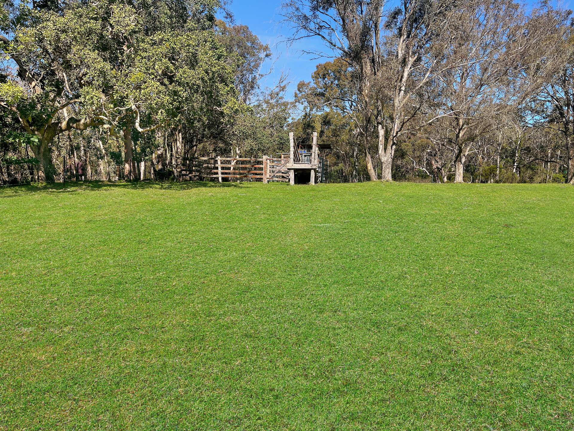 1 Tenterfield Street, Liston For Sale by Farmbuy.com - image 12