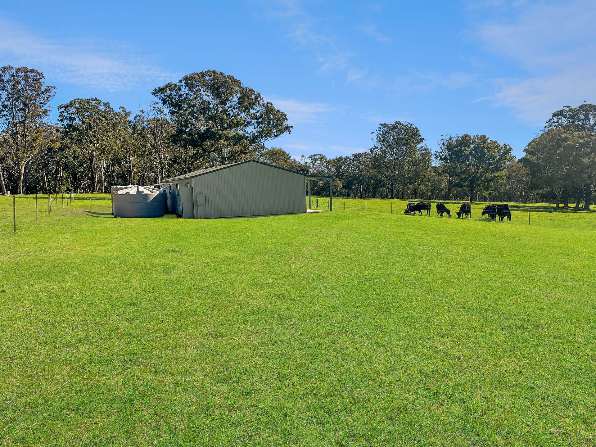 1 Tenterfield Street, Liston For Sale by Farmbuy.com - image 1