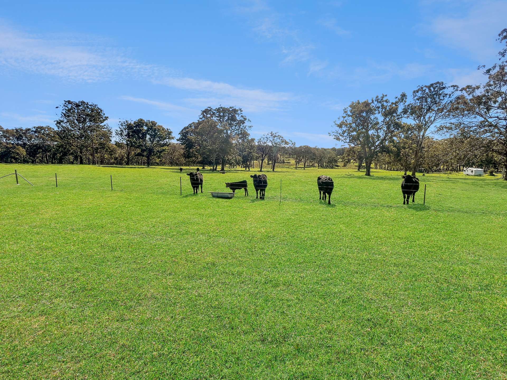 1 Tenterfield Street, Liston For Sale by Farmbuy.com - image 2