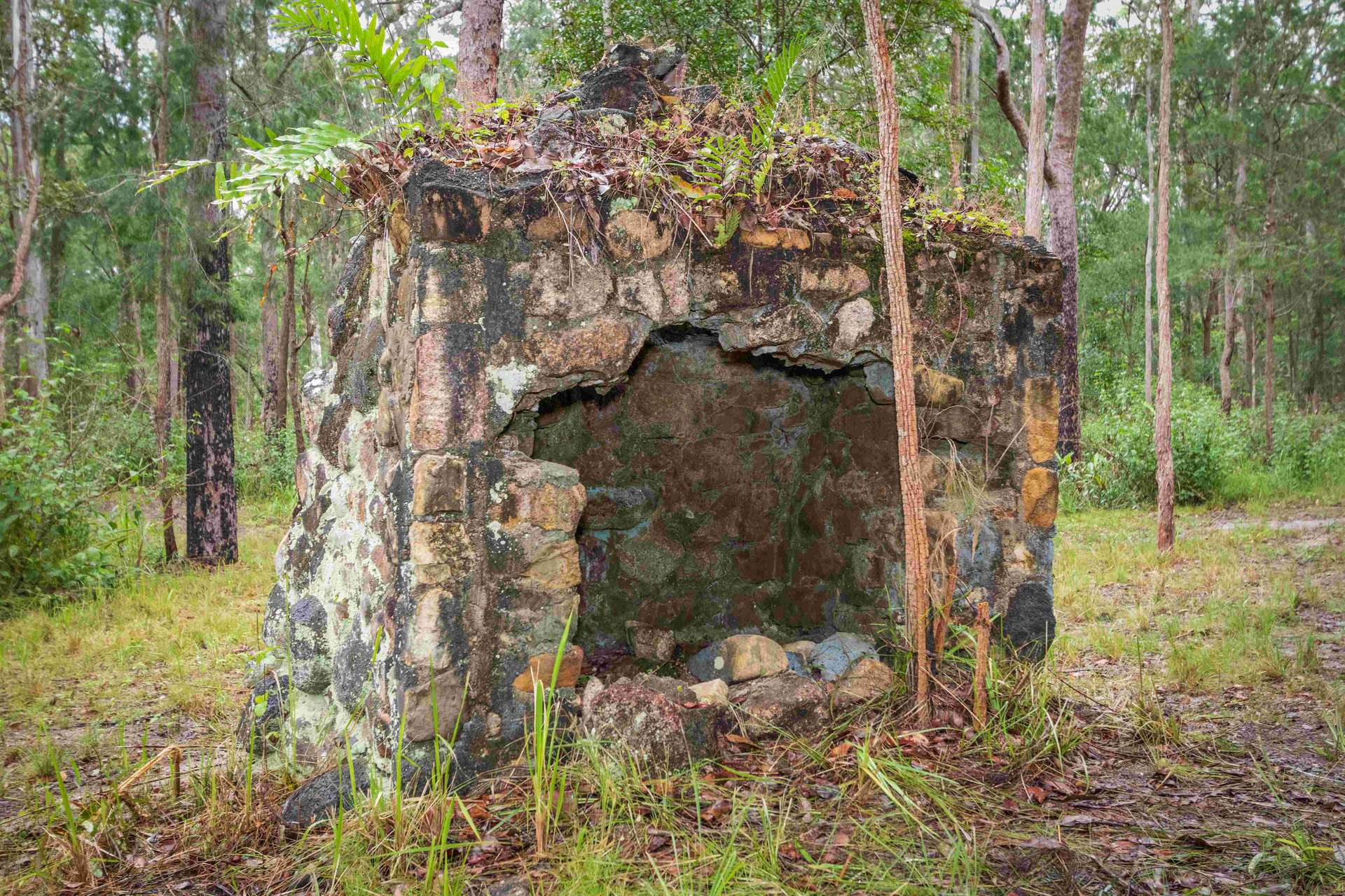 238 Hemmings Lane, Upper Barron For Sale by Farmbuy.com - image 13