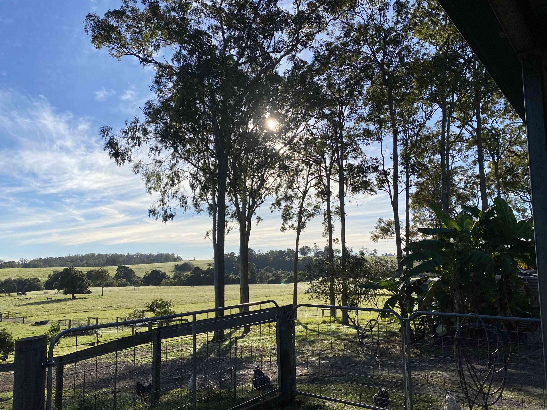 238 Hemmings Lane, Upper Barron For Sale by Farmbuy.com - image 32