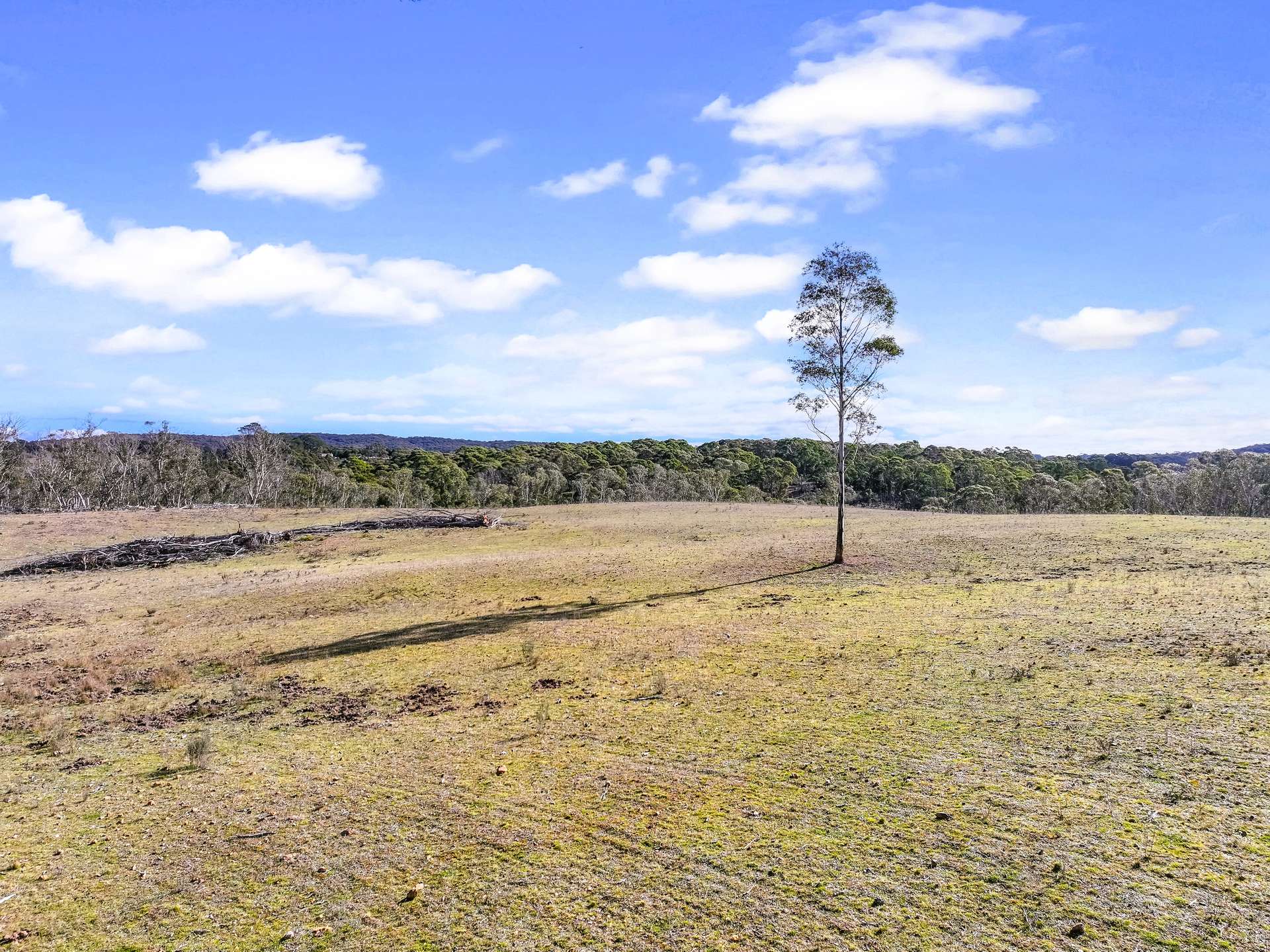 Lot 193 / 443 Back Creek Road, Mongarlowe For Sale by Farmbuy.com - image 16