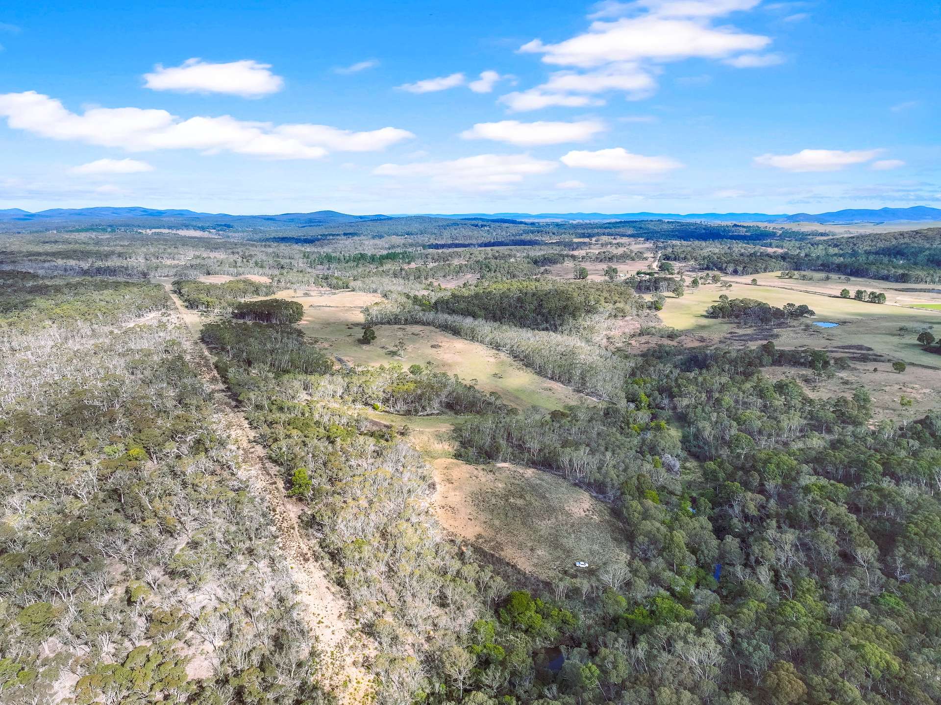 Lot 193 / 443 Back Creek Road, Mongarlowe For Sale by Farmbuy.com - image 13