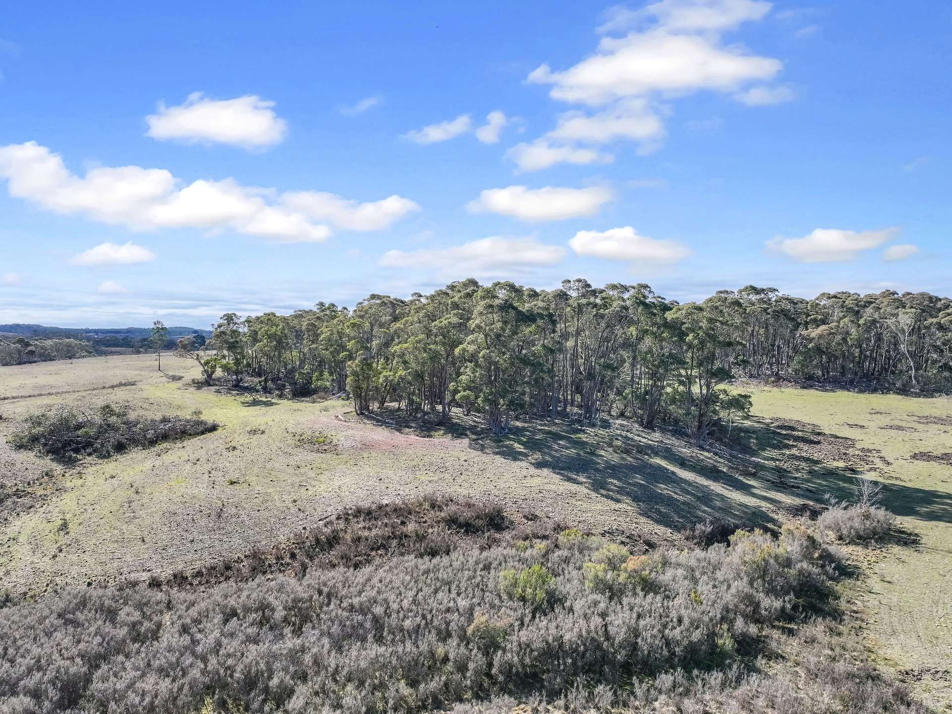 Lot 193 / 443 Back Creek Road, Mongarlowe For Sale by Farmbuy.com - image 15