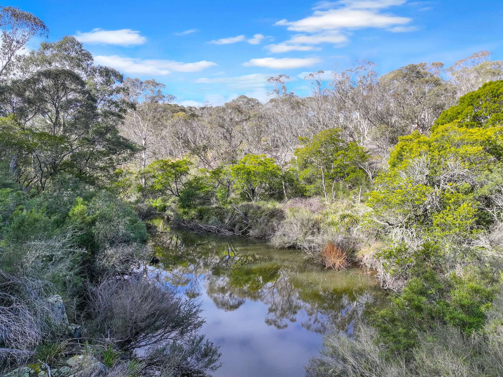 Lot 193 / 443 Back Creek Road, Mongarlowe For Sale by Farmbuy.com - image 7