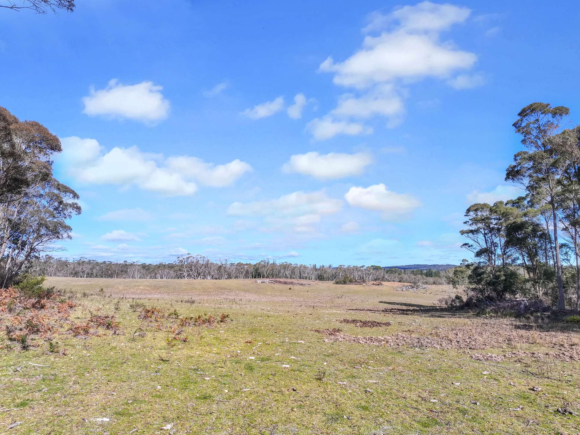 Lot 193 / 443 Back Creek Road, Mongarlowe For Sale by Farmbuy.com - image 22
