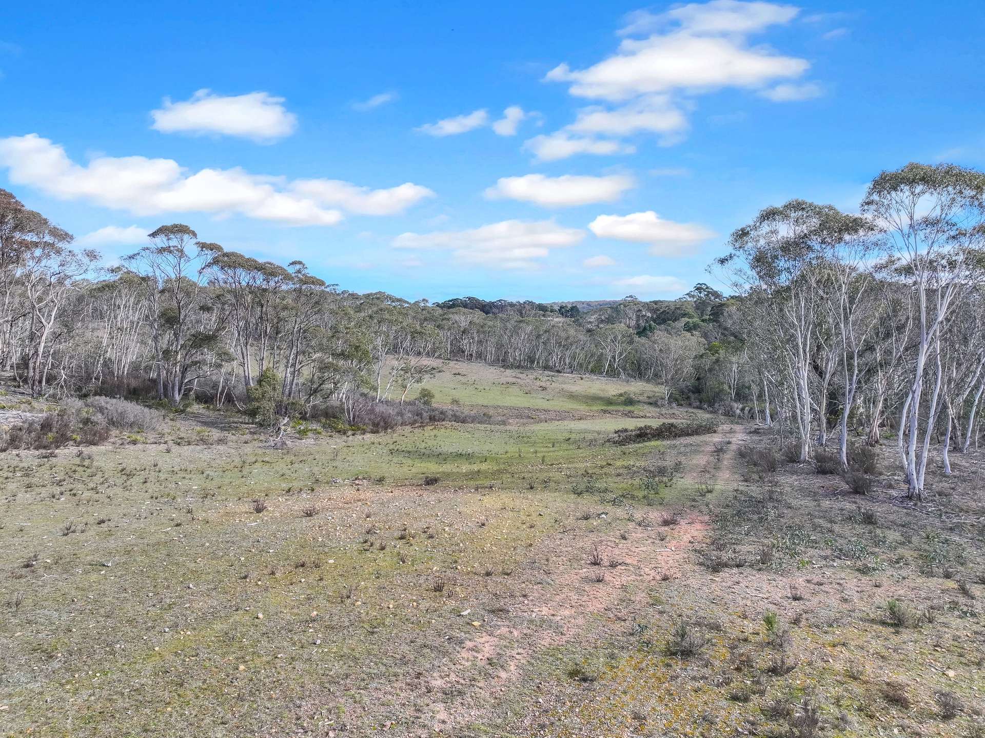 Lot 193 / 443 Back Creek Road, Mongarlowe For Sale by Farmbuy.com - image 8