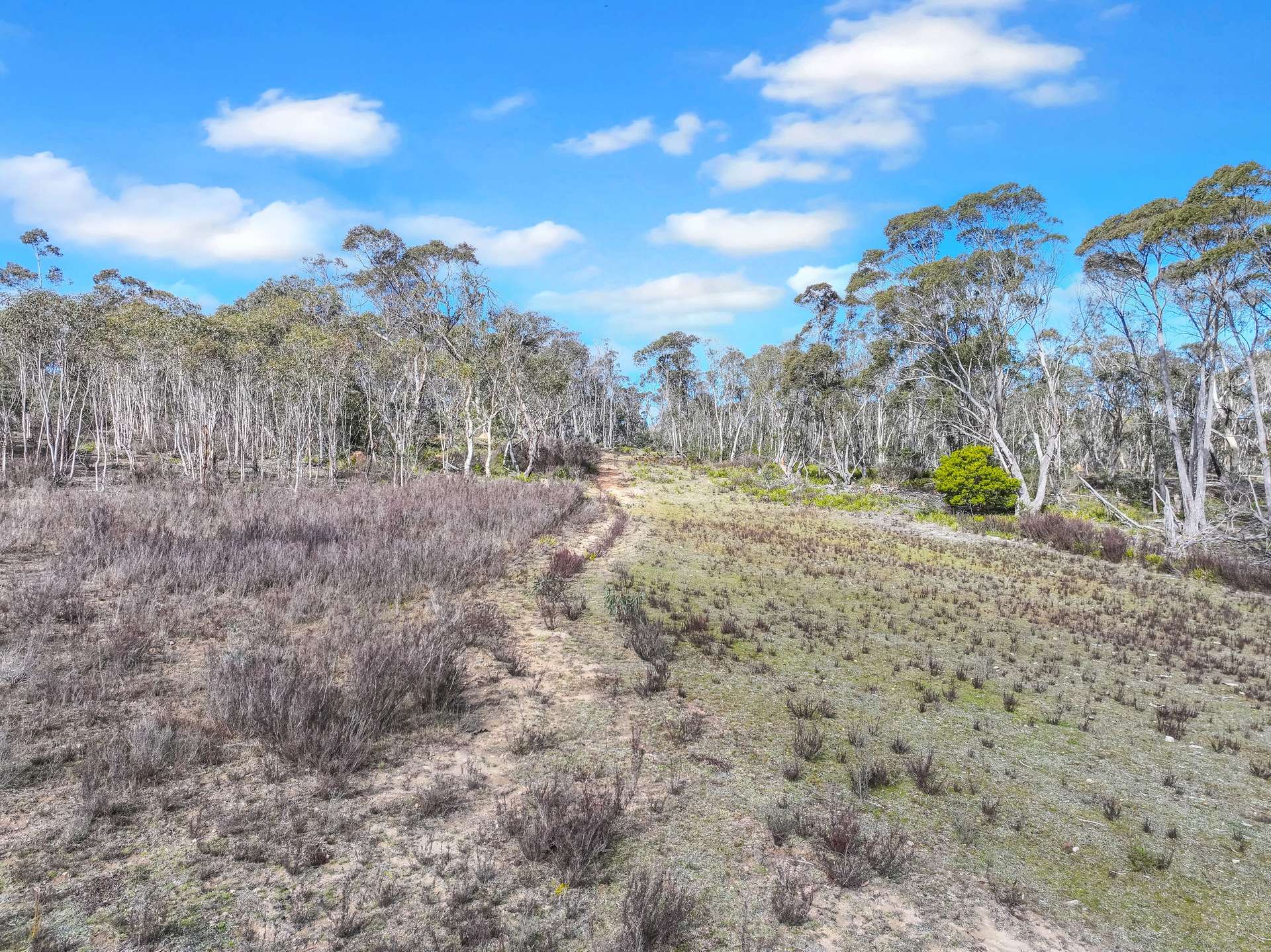 Lot 193 / 443 Back Creek Road, Mongarlowe For Sale by Farmbuy.com - image 9