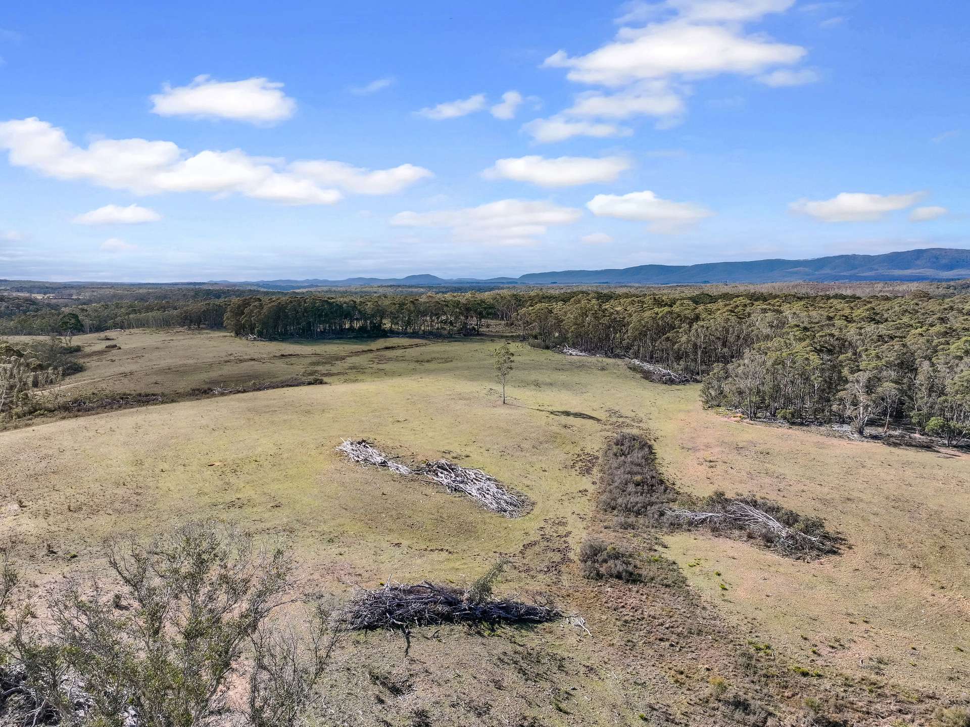 Lot 193 / 443 Back Creek Road, Mongarlowe For Sale by Farmbuy.com - image 17