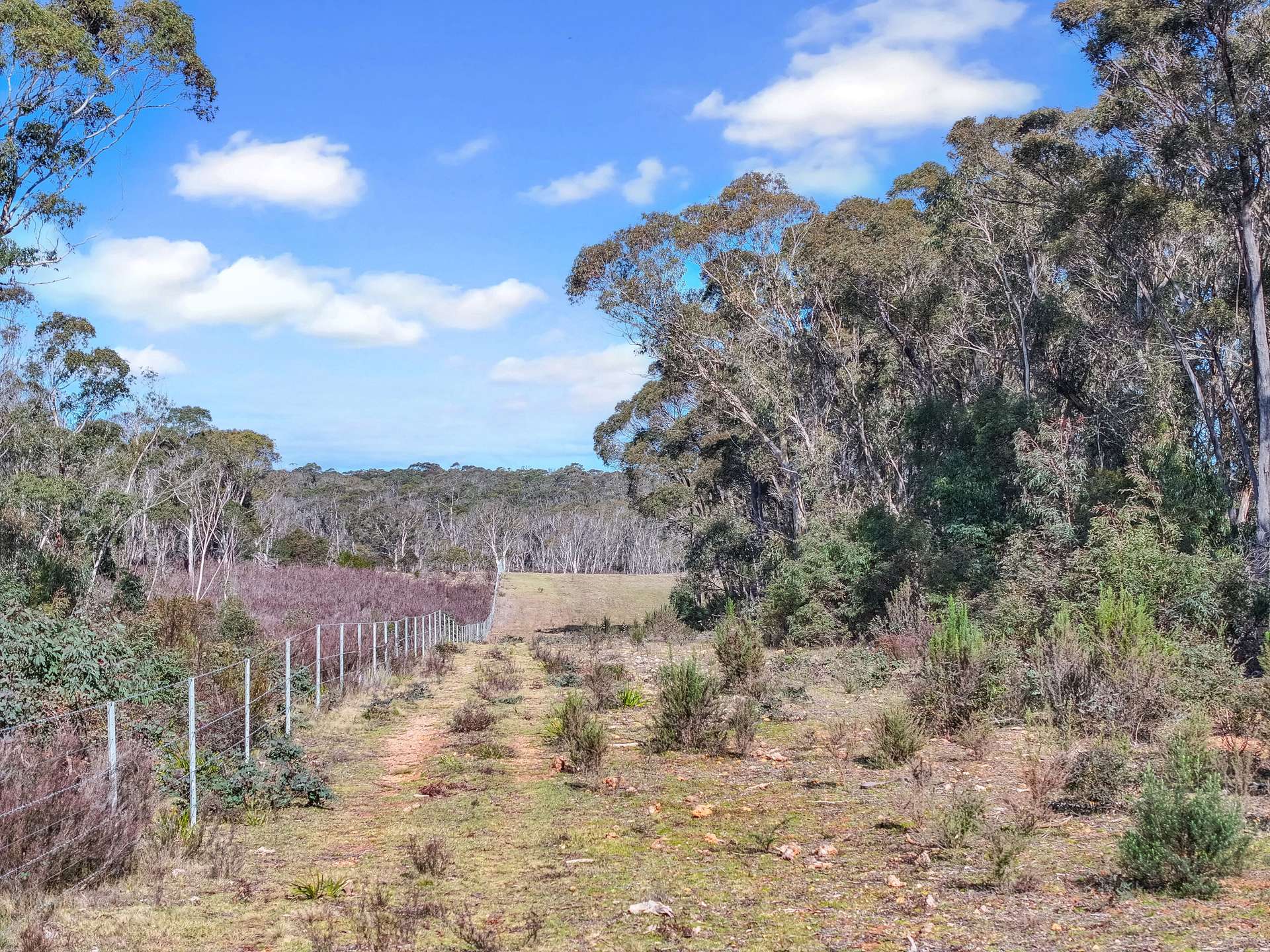 Lot 193 / 443 Back Creek Road, Mongarlowe For Sale by Farmbuy.com - image 11