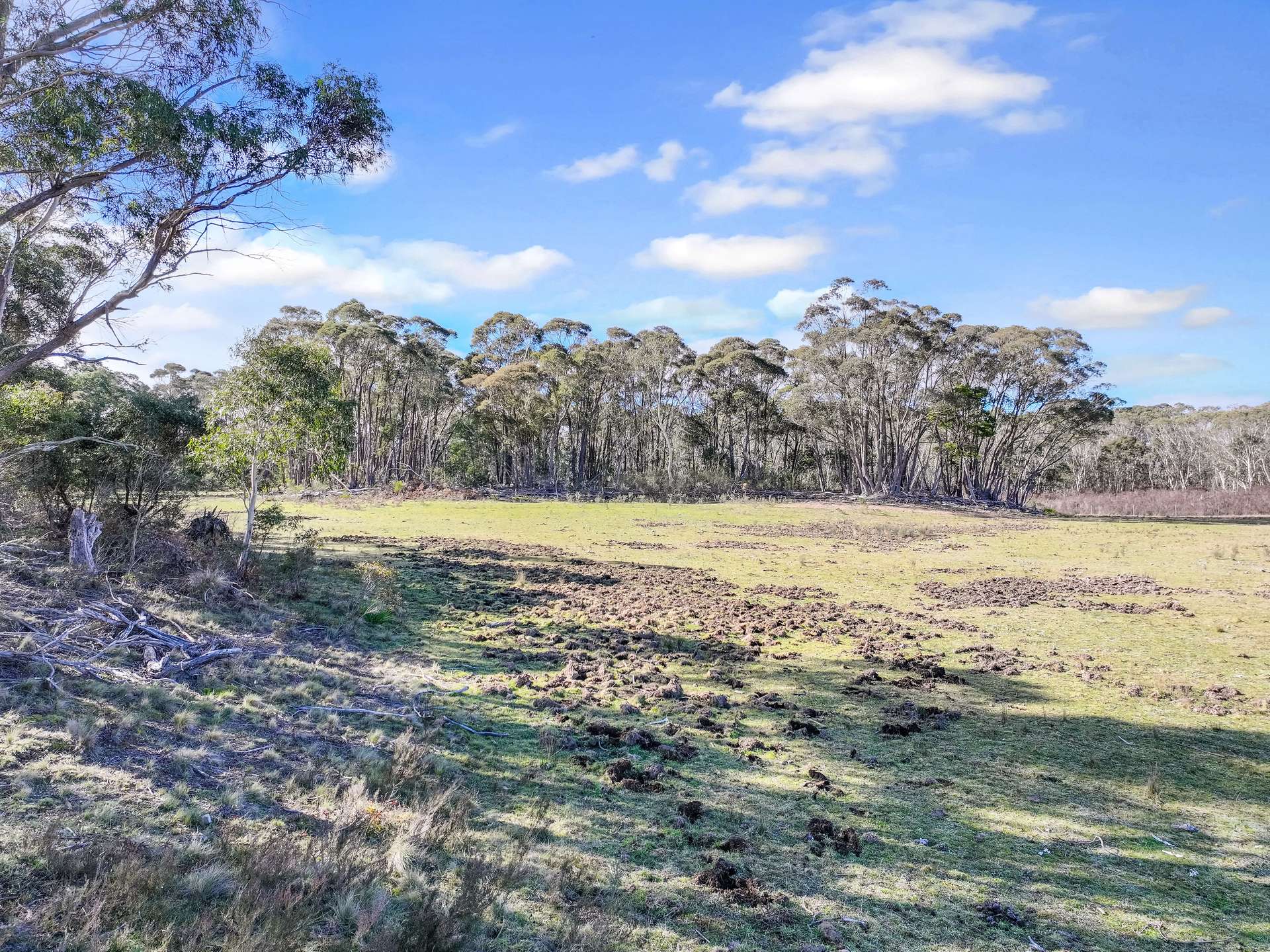 Lot 193 / 443 Back Creek Road, Mongarlowe For Sale by Farmbuy.com - image 20