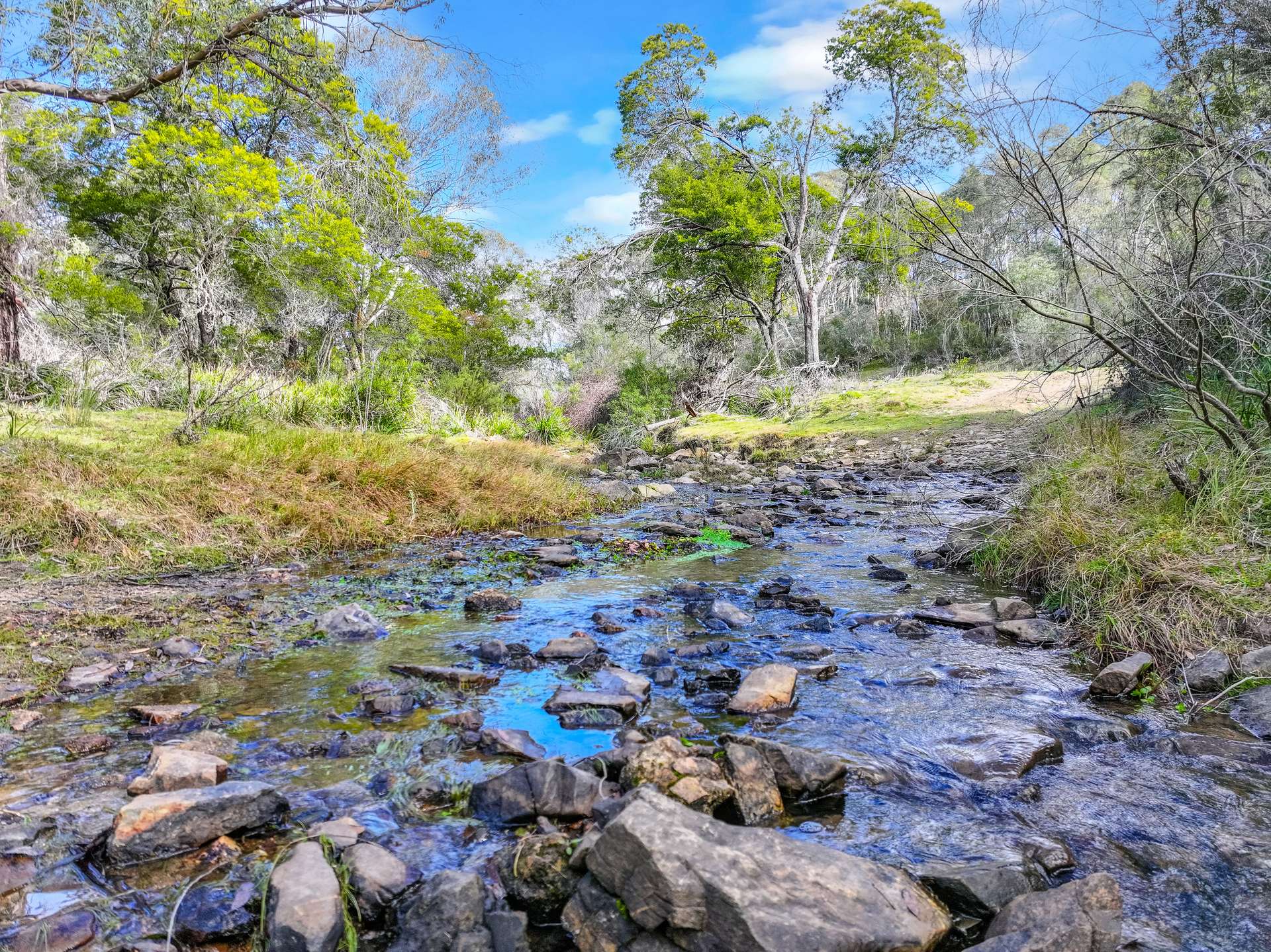 Lot 193 / 443 Back Creek Road, Mongarlowe For Sale by Farmbuy.com - image 2
