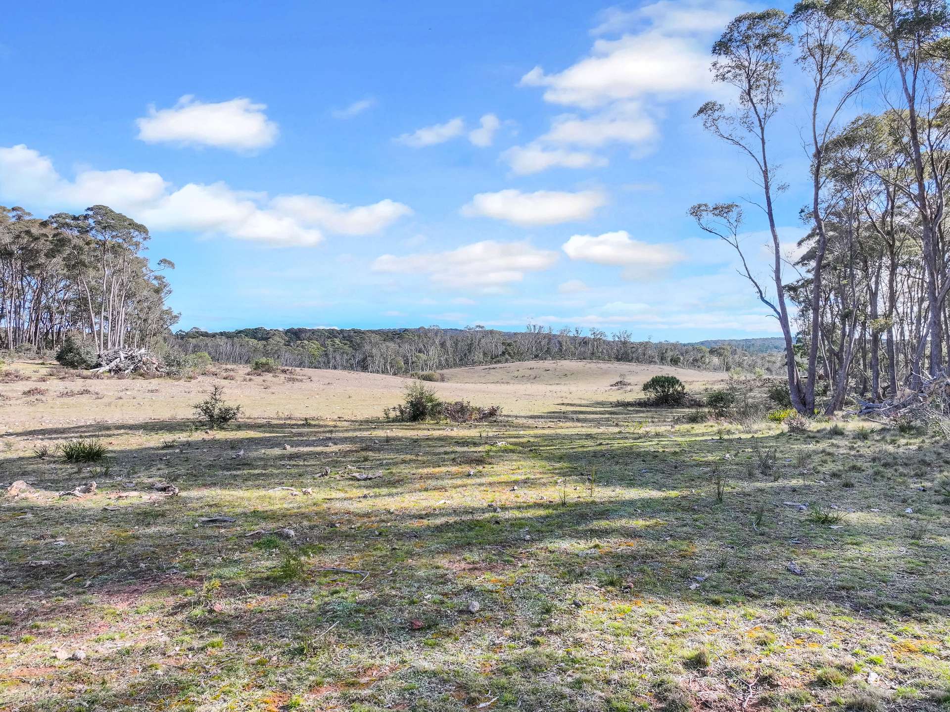 Lot 193 / 443 Back Creek Road, Mongarlowe For Sale by Farmbuy.com - image 10