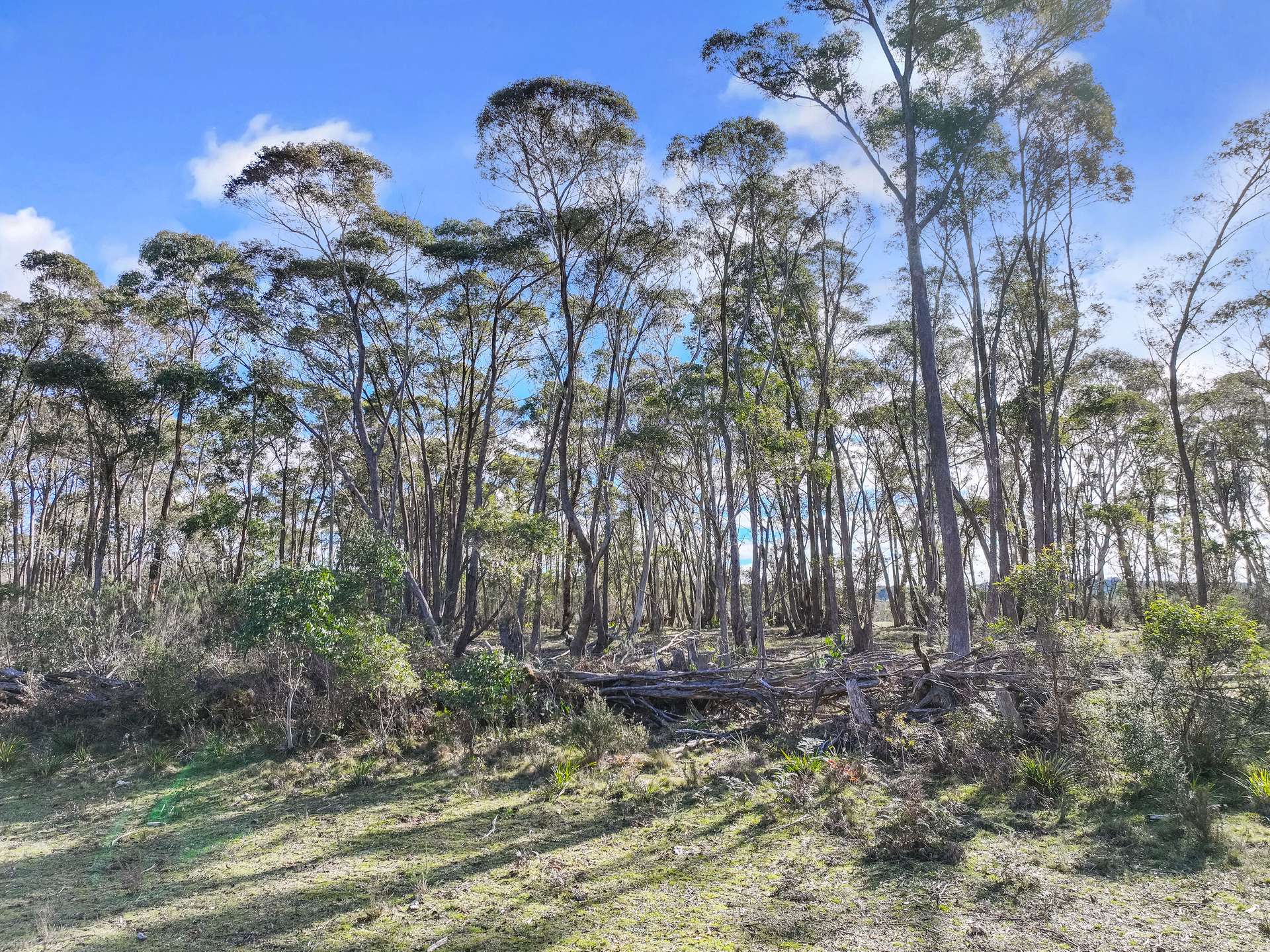 Lot 193 / 443 Back Creek Road, Mongarlowe For Sale by Farmbuy.com - image 21