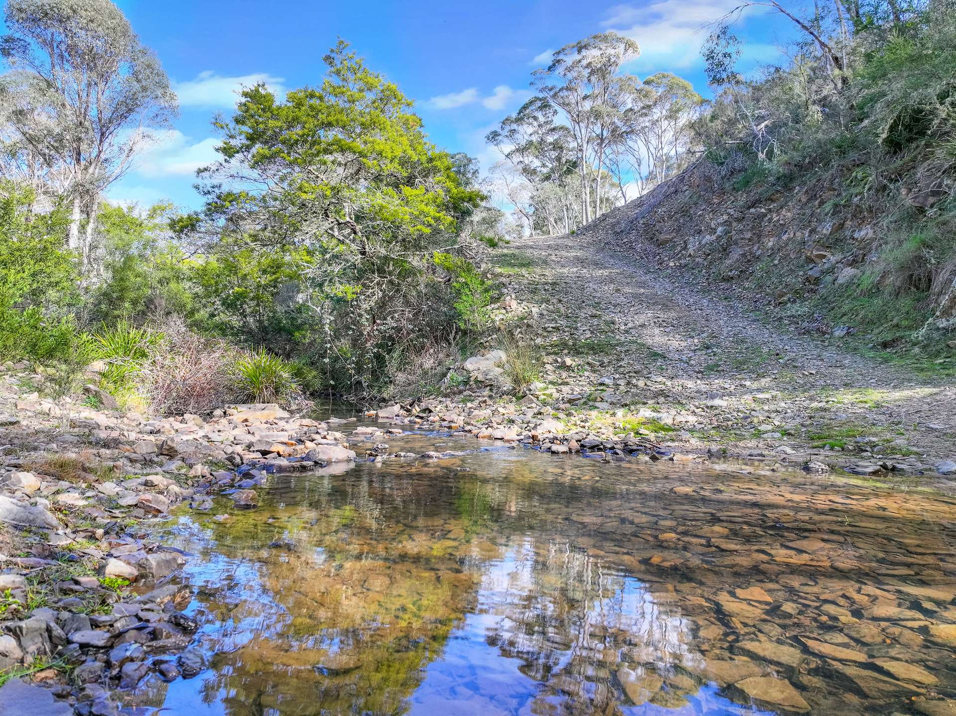 Lot 193 / 443 Back Creek Road, Mongarlowe For Sale by Farmbuy.com - image 24