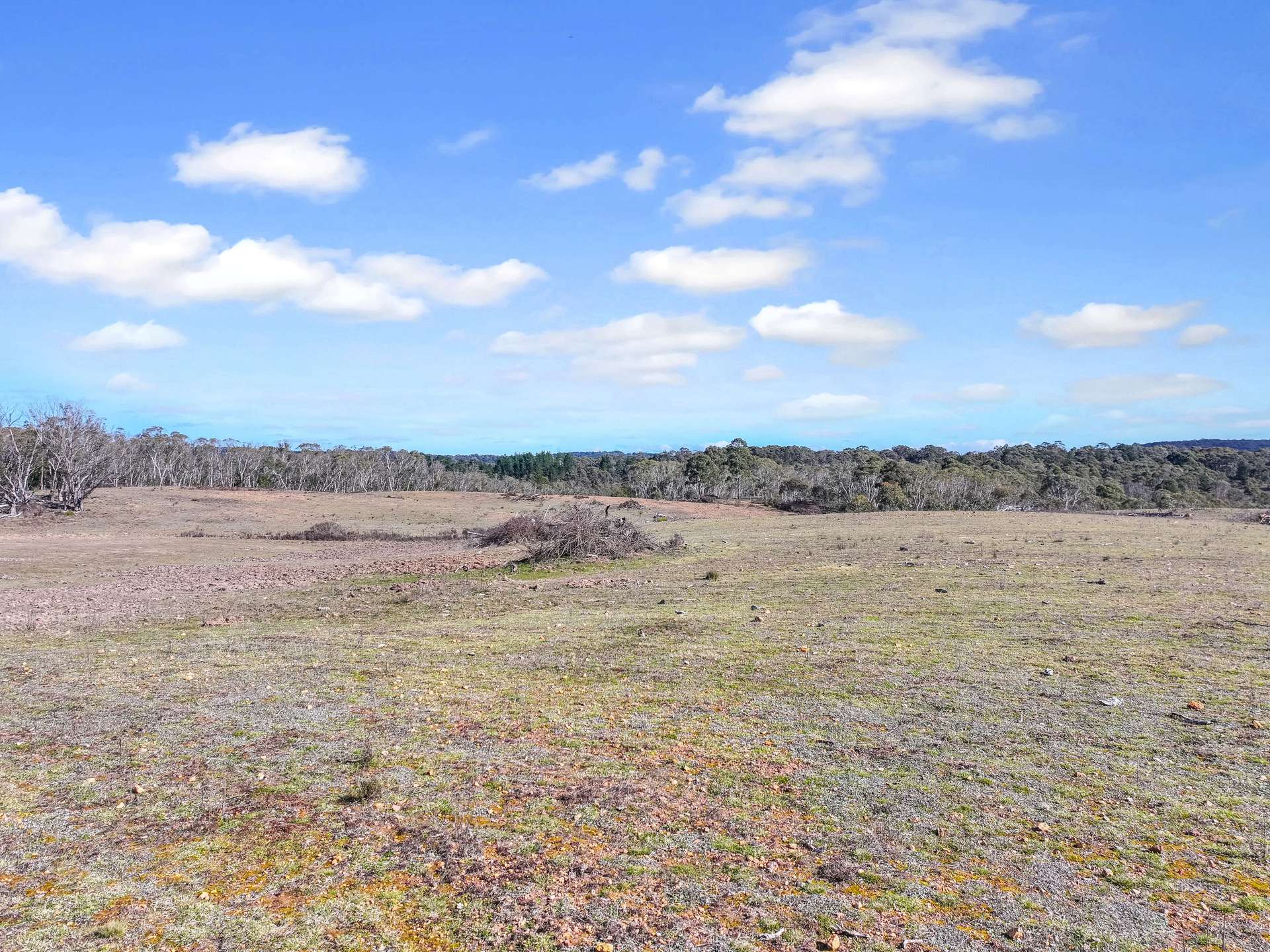 Lot 193 / 443 Back Creek Road, Mongarlowe For Sale by Farmbuy.com - image 12