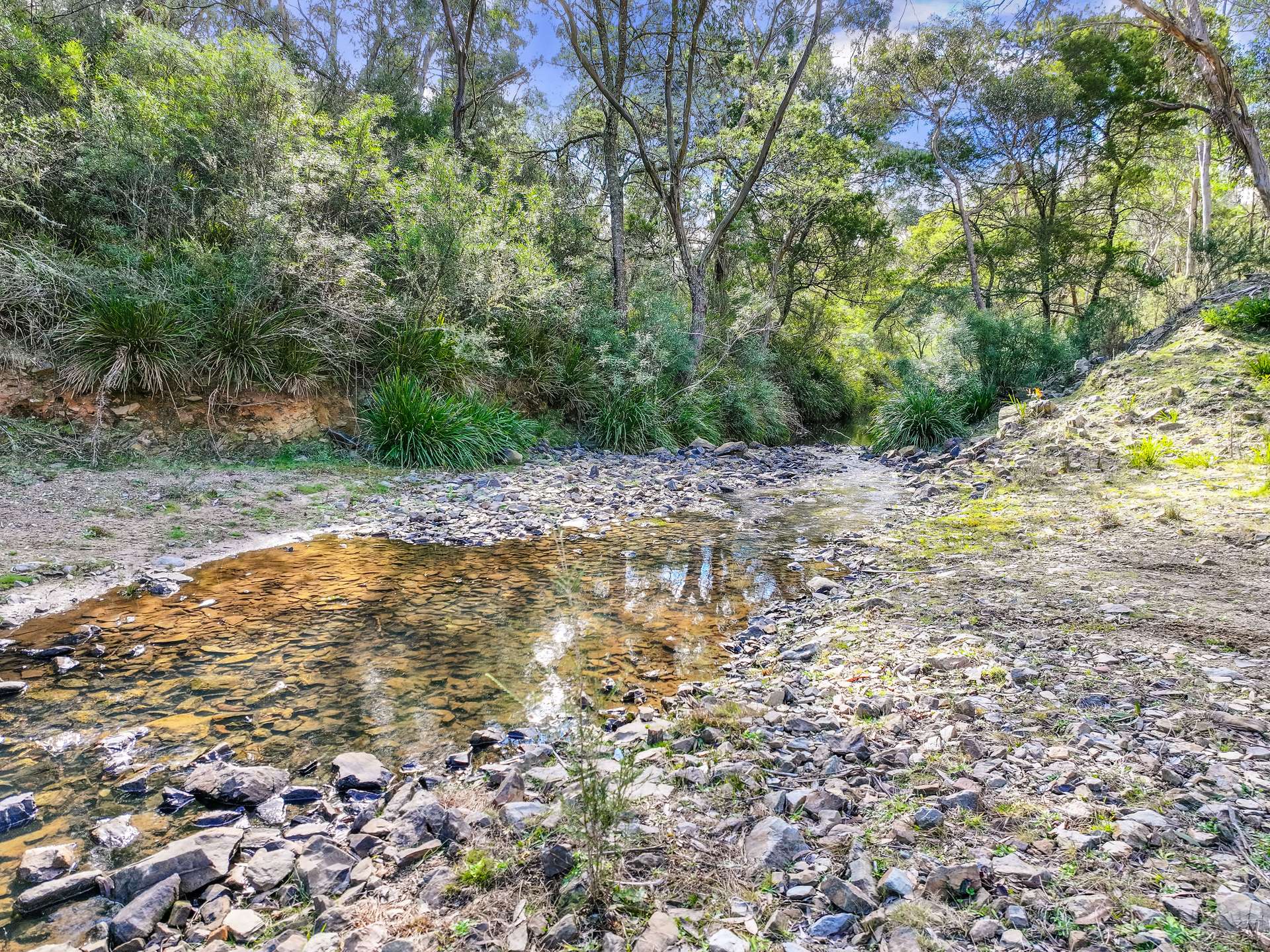 Lot 193 / 443 Back Creek Road, Mongarlowe For Sale by Farmbuy.com - image 23