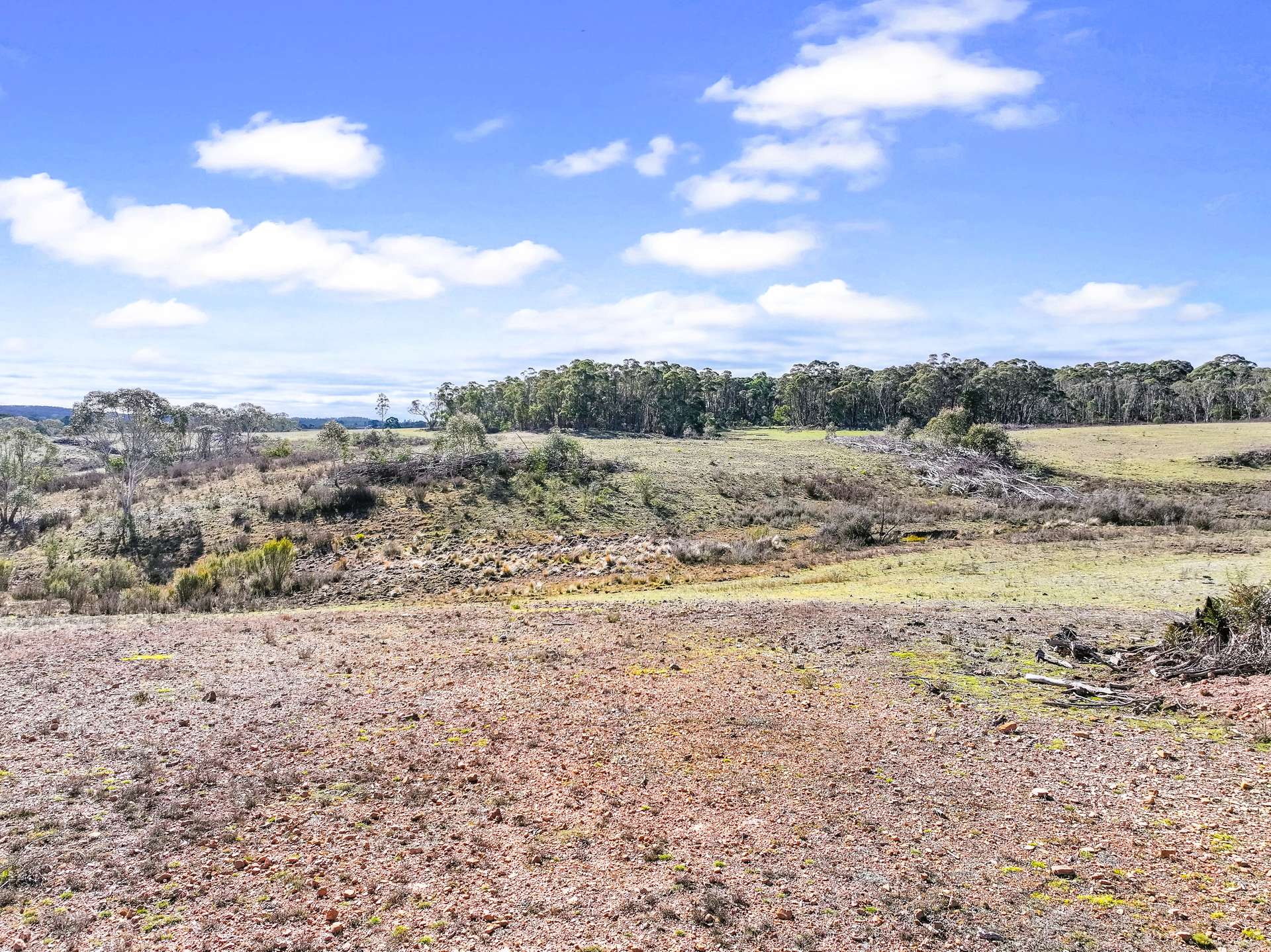 Lot 193 / 443 Back Creek Road, Mongarlowe For Sale by Farmbuy.com - image 14