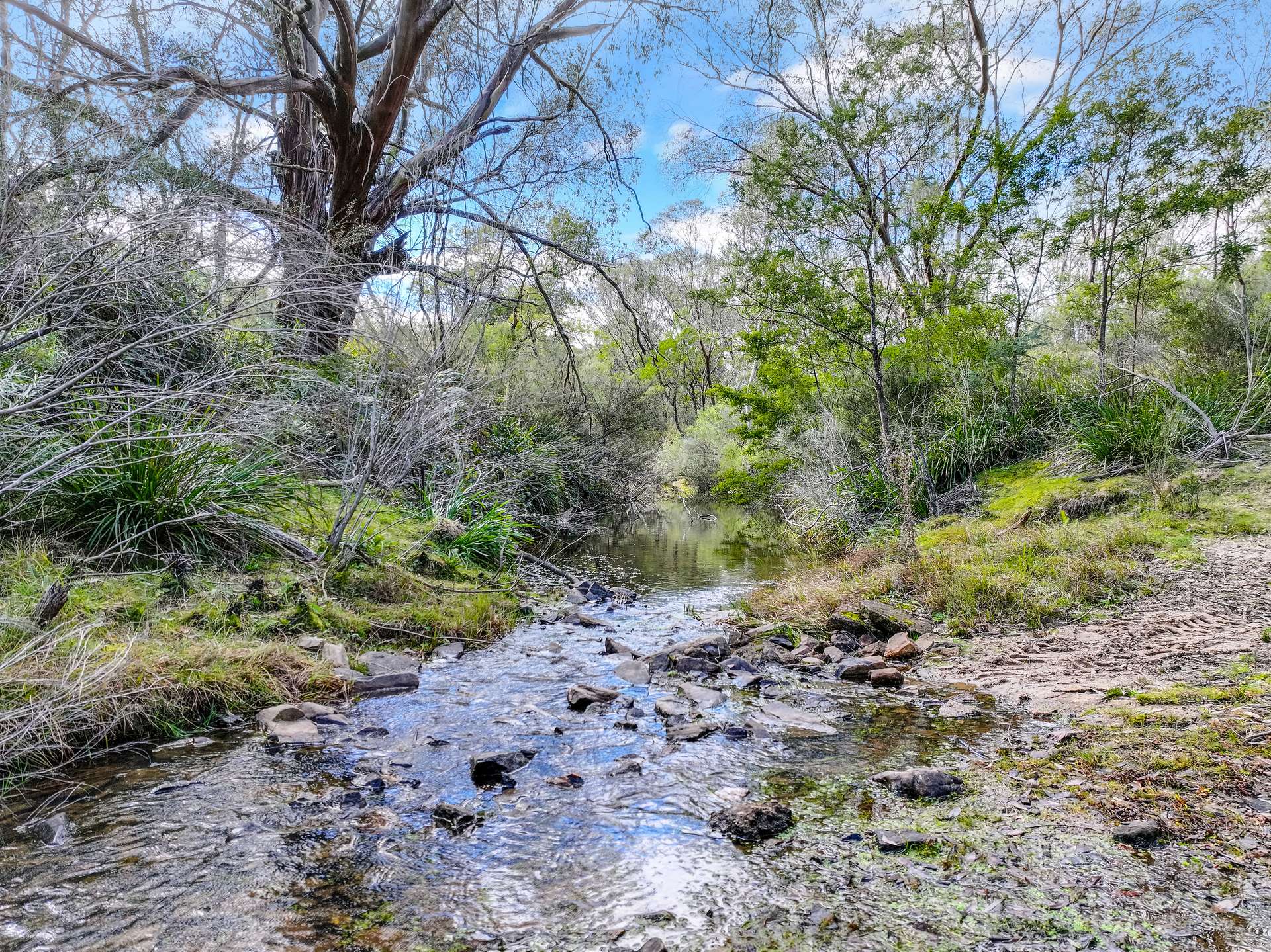 Lot 193 / 443 Back Creek Road, Mongarlowe For Sale by Farmbuy.com - image 5