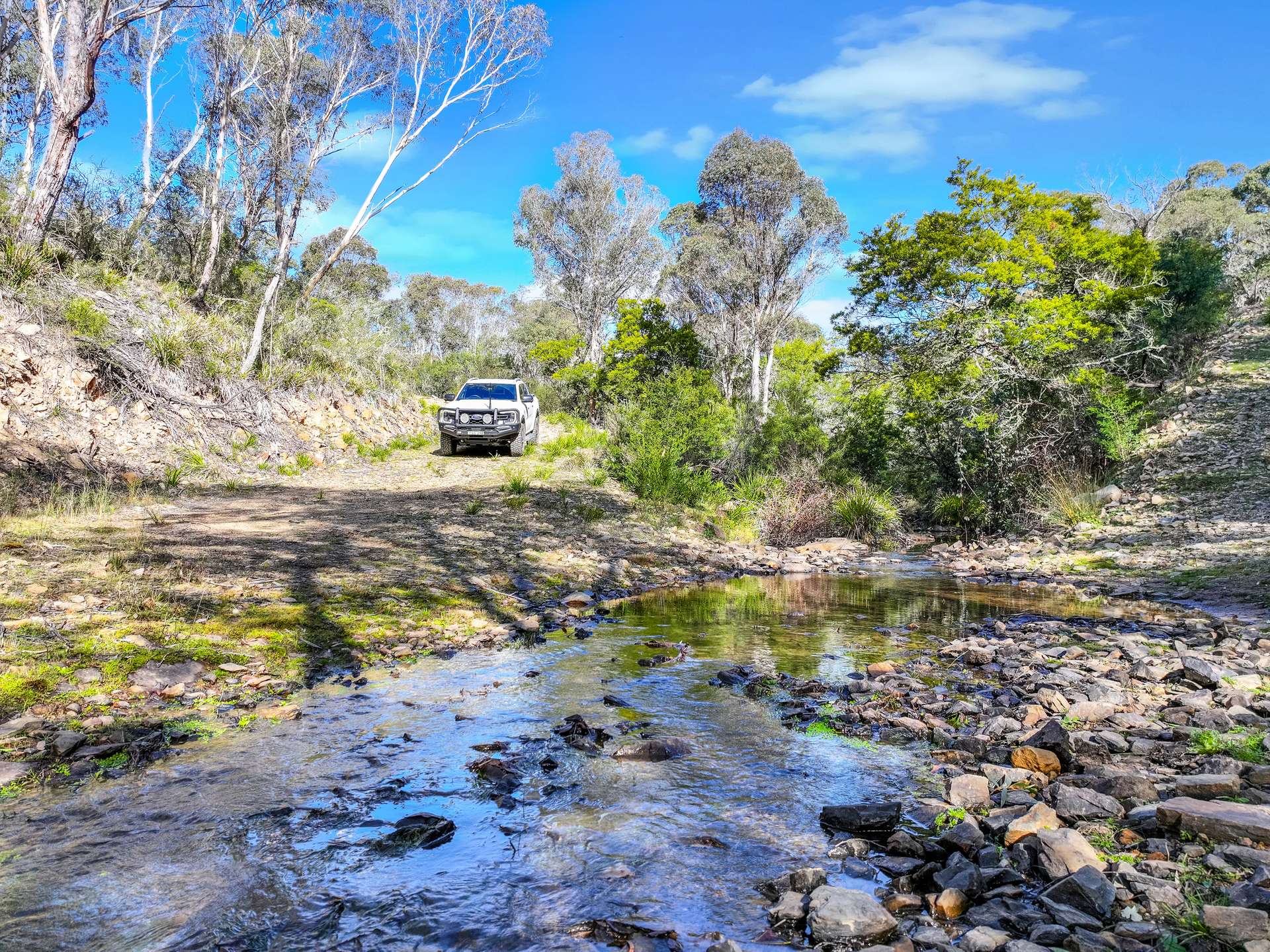Lot 193 / 443 Back Creek Road, Mongarlowe For Sale by Farmbuy.com - image 25