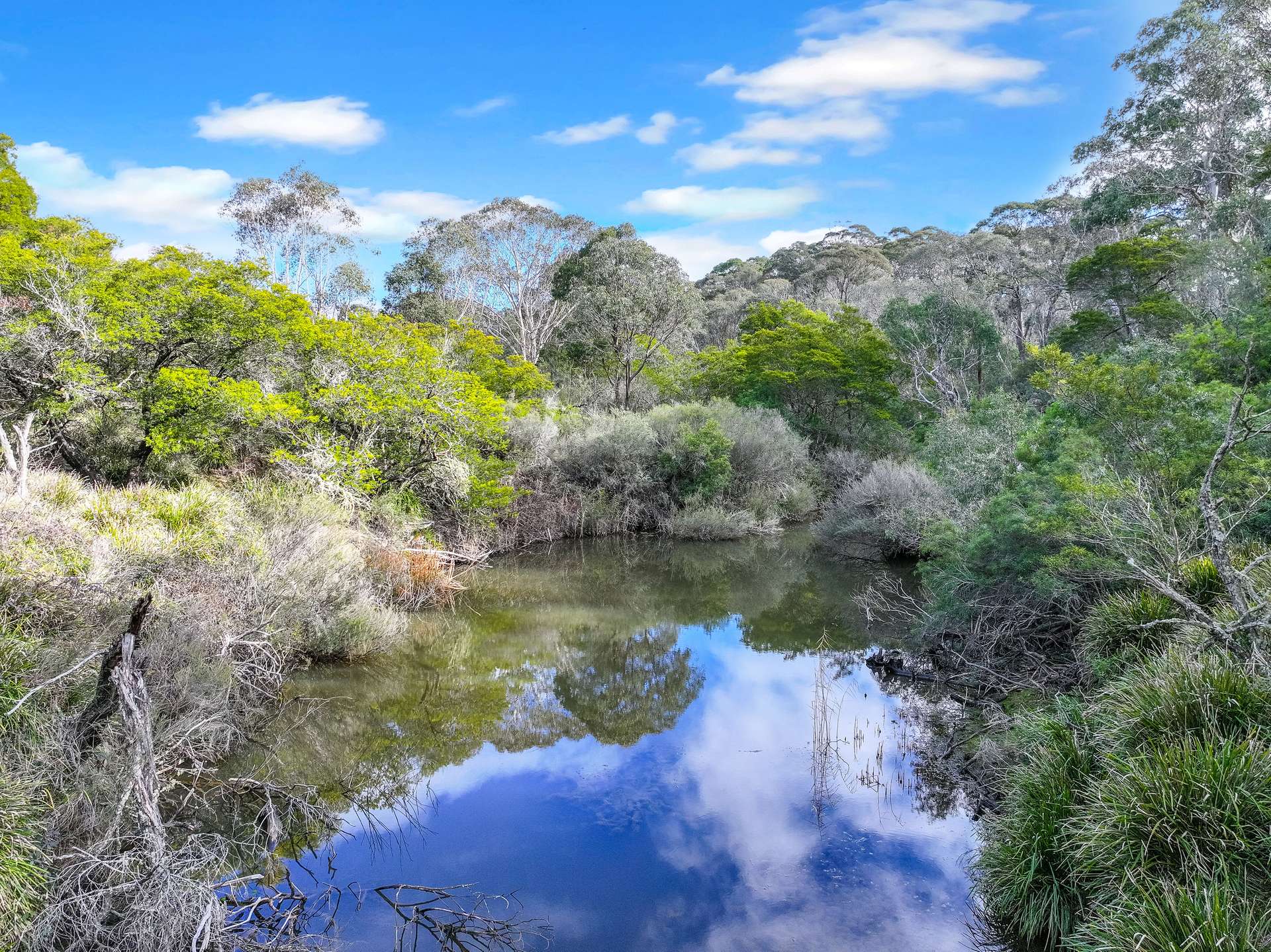 Lot 193 / 443 Back Creek Road, Mongarlowe For Sale by Farmbuy.com - image 6