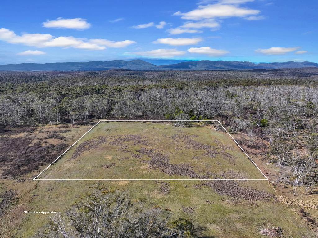 Lot 113 &sol; 443 Back Creek Road, Mongarlowe NSW 2622