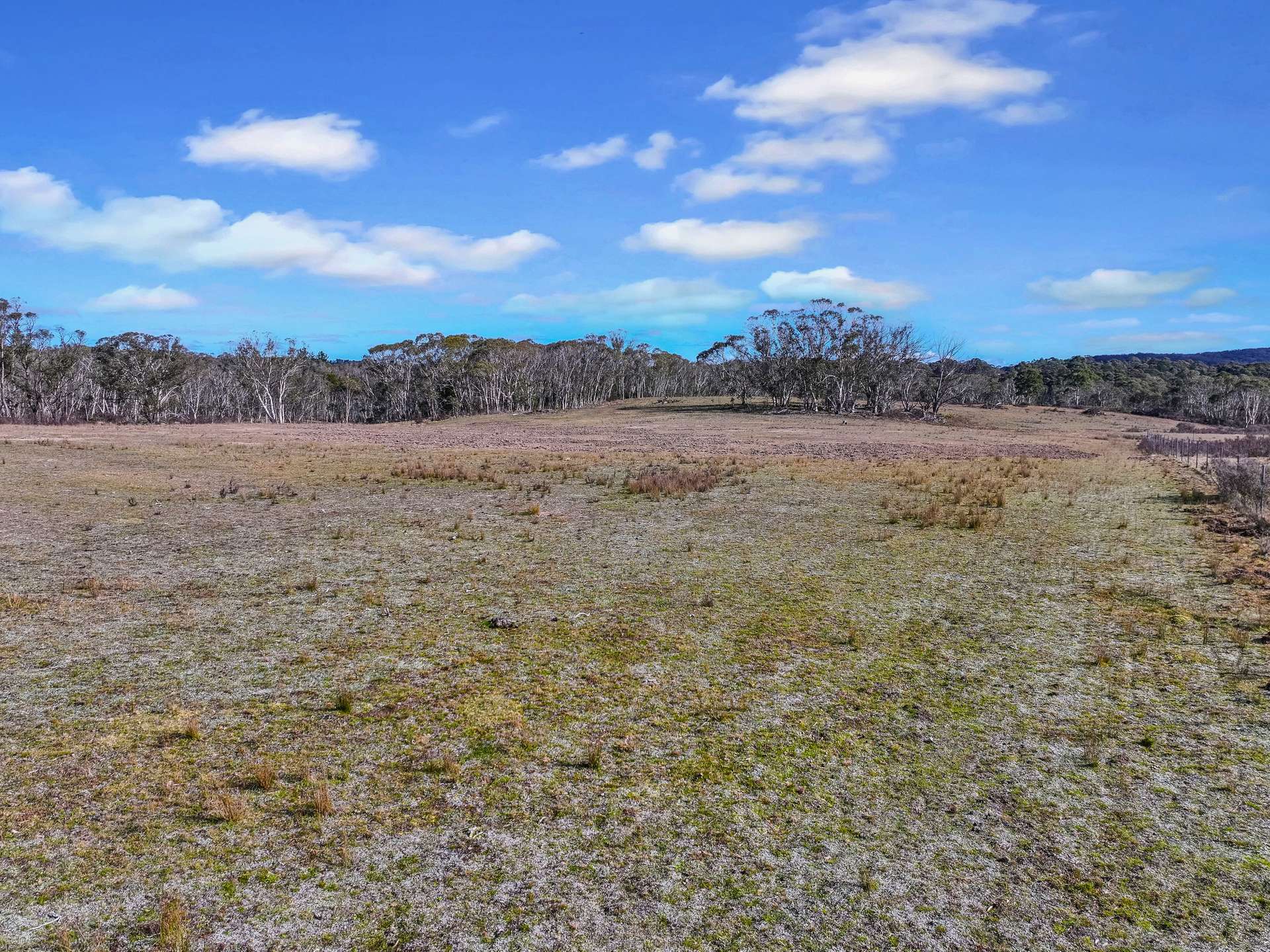 Lot 113 / 443 Back Creek Road, Mongarlowe For Sale by Farmbuy.com - image 3
