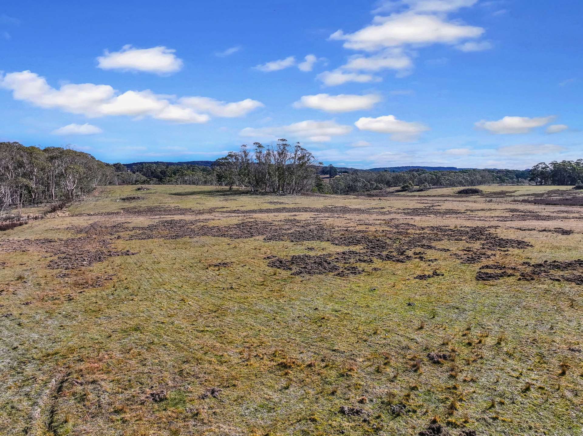 Lot 113 / 443 Back Creek Road, Mongarlowe For Sale by Farmbuy.com - image 4
