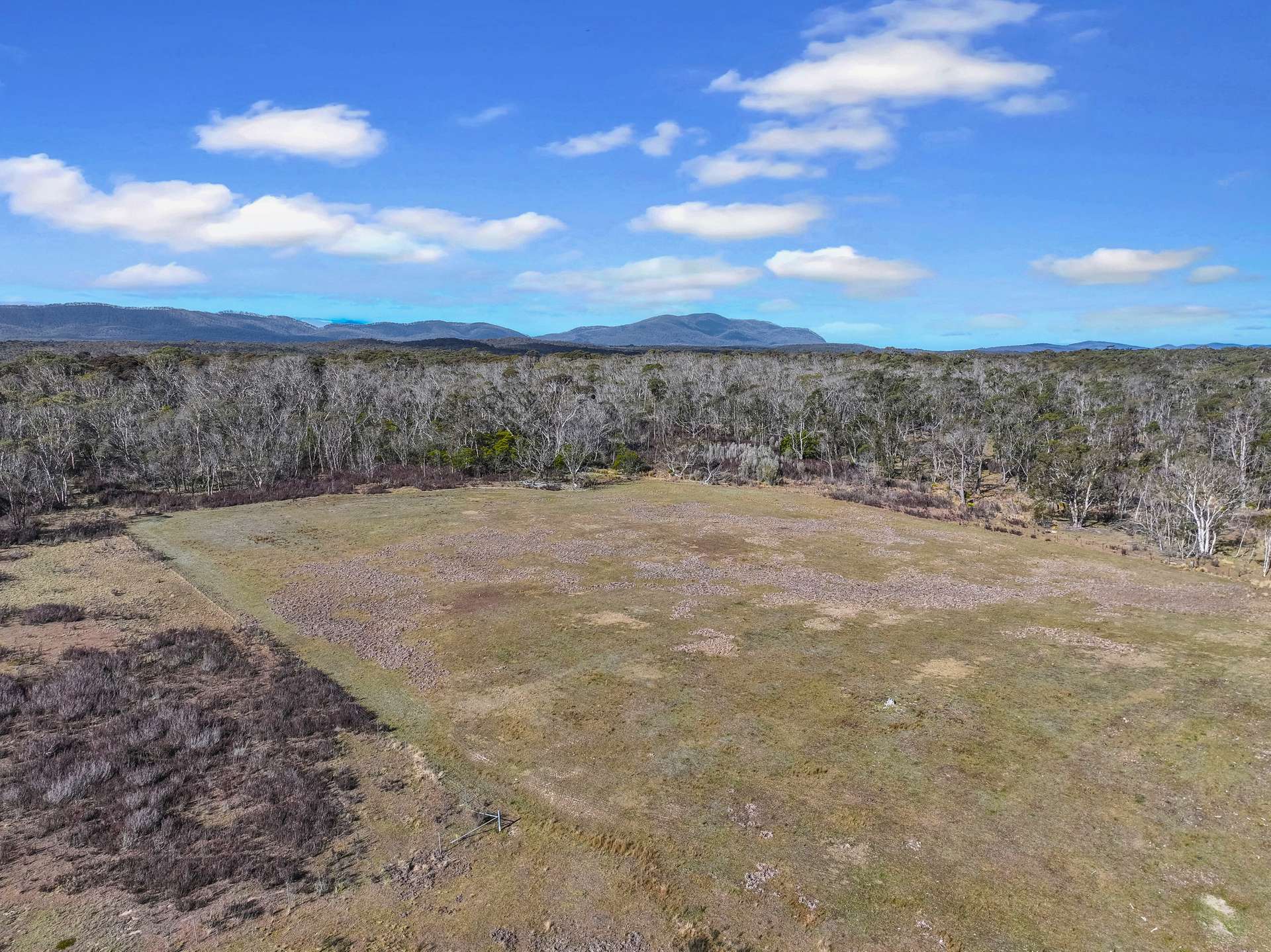 Lot 113 / 443 Back Creek Road, Mongarlowe For Sale by Farmbuy.com - image 5
