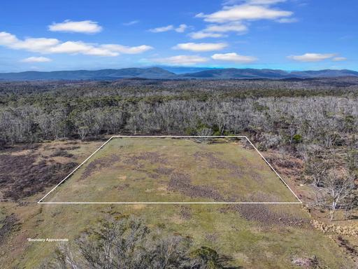 Farm For Sale - NSW - Mongarlowe - 2622 - 2 Acres with Building Entitlement 
