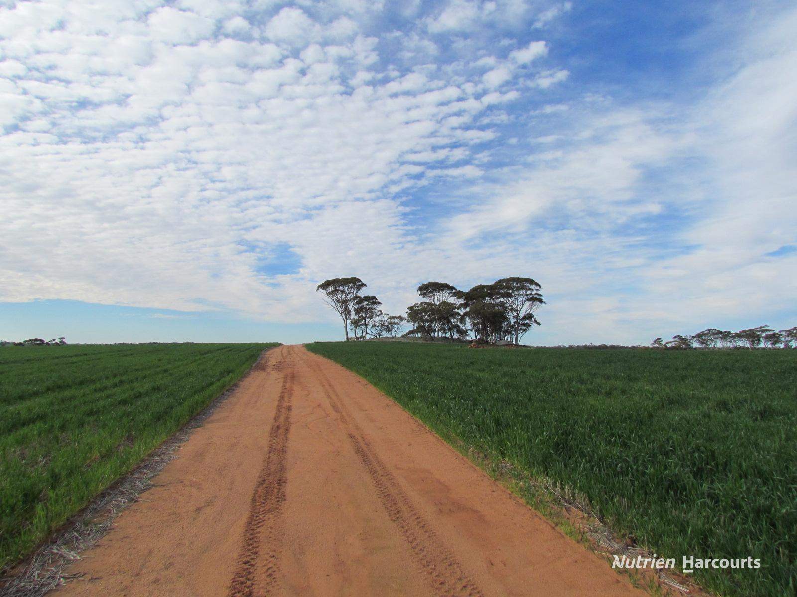 984 Lampard Tremlett Road, Coorow For Sale by Farmbuy.com - image 33