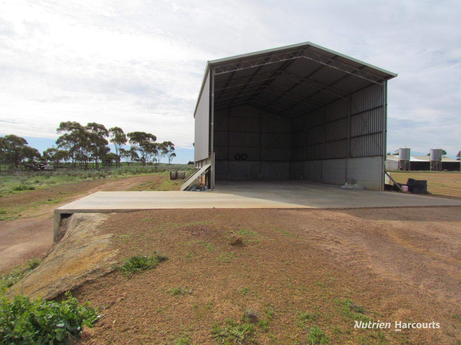 984 Lampard Tremlett Road, Coorow For Sale by Farmbuy.com - image 20