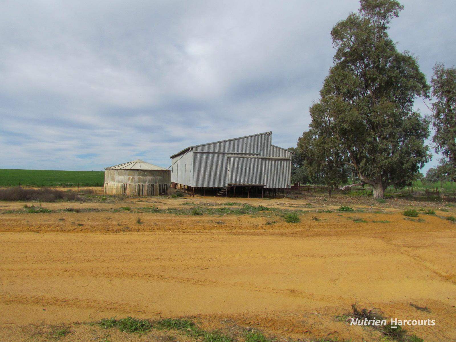 984 Lampard Tremlett Road, Coorow For Sale by Farmbuy.com - image 22