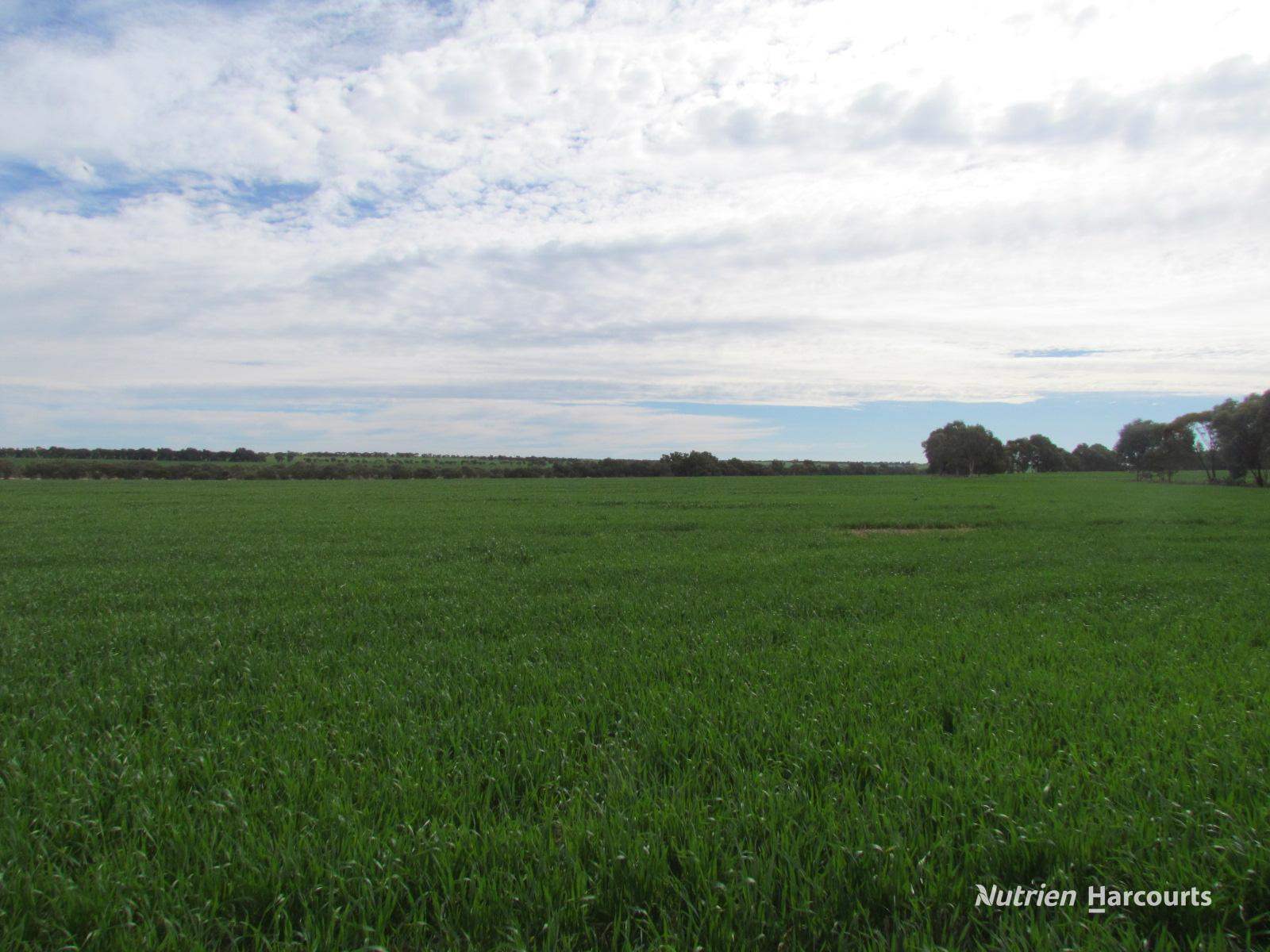 984 Lampard Tremlett Road, Coorow For Sale by Farmbuy.com - image 18