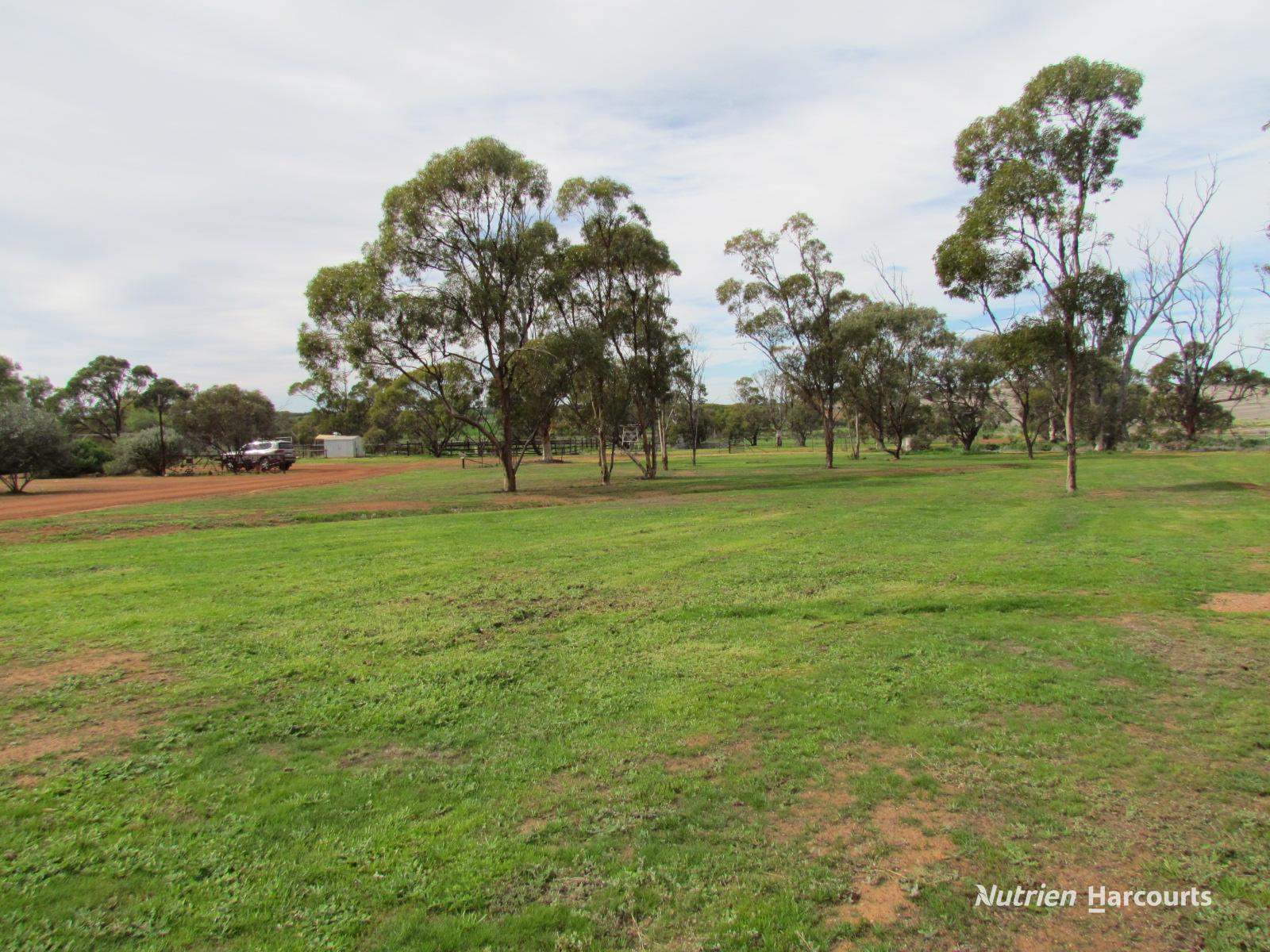 984 Lampard Tremlett Road, Coorow For Sale by Farmbuy.com - image 5