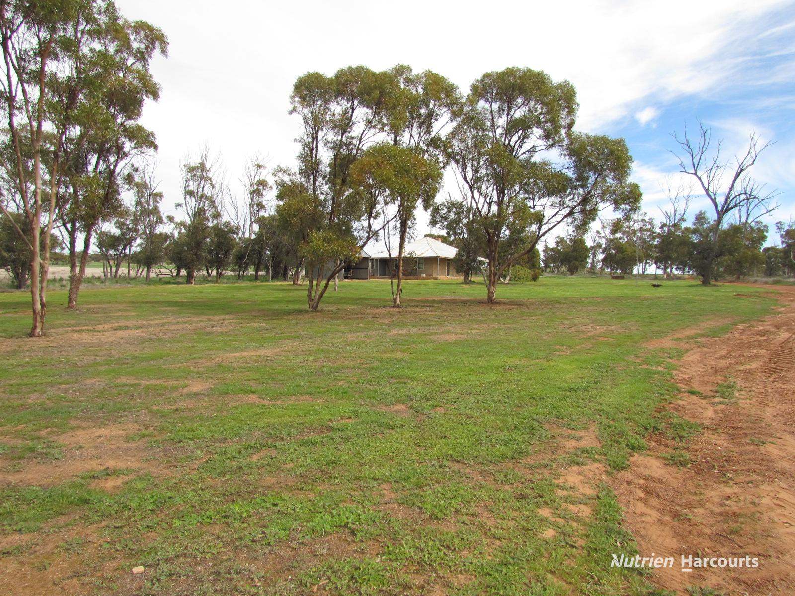 984 Lampard Tremlett Road, Coorow For Sale by Farmbuy.com - image 4