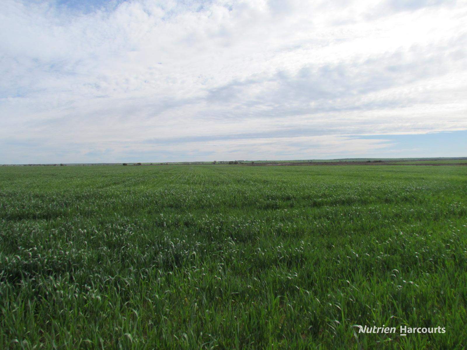 984 Lampard Tremlett Road, Coorow For Sale by Farmbuy.com - image 19