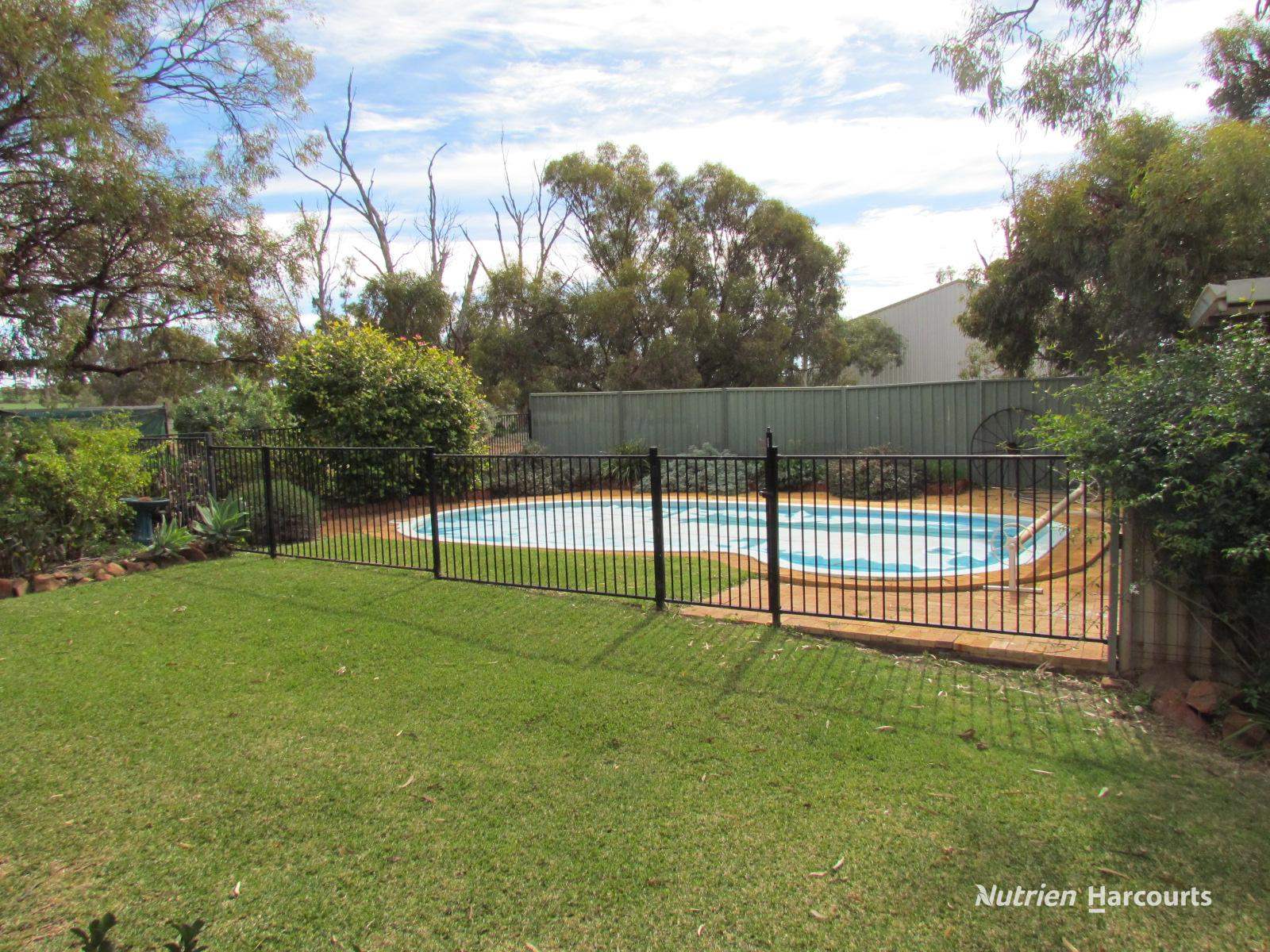 984 Lampard Tremlett Road, Coorow For Sale by Farmbuy.com - image 12