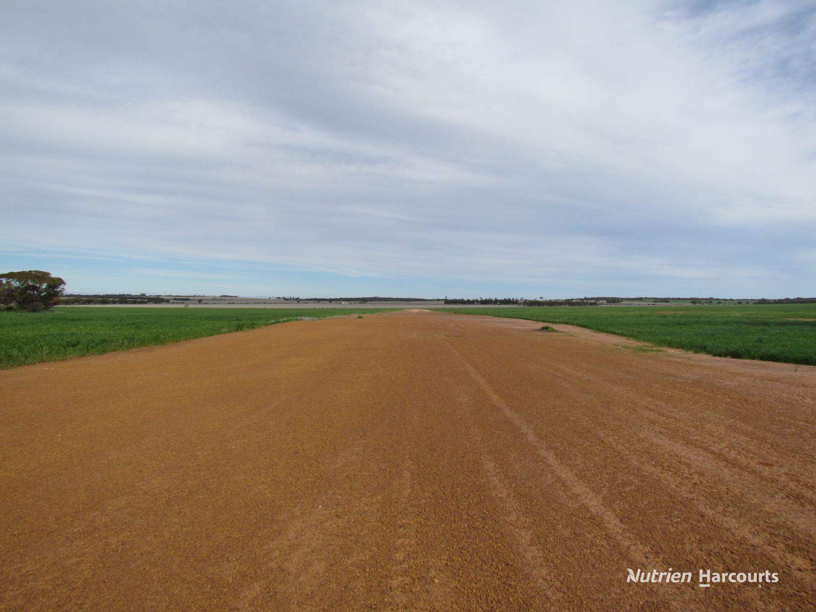 984 Lampard Tremlett Road, Coorow For Sale by Farmbuy.com - image 3