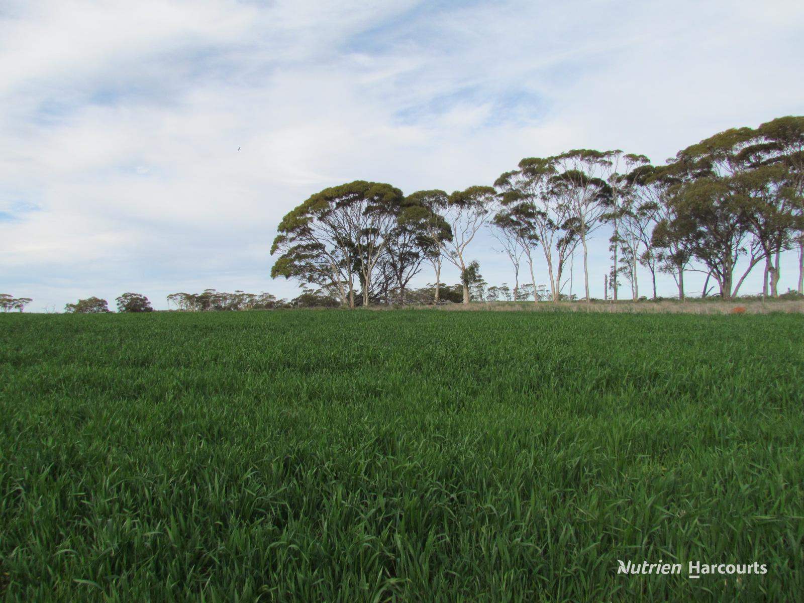 984 Lampard Tremlett Road, Coorow For Sale by Farmbuy.com - image 34