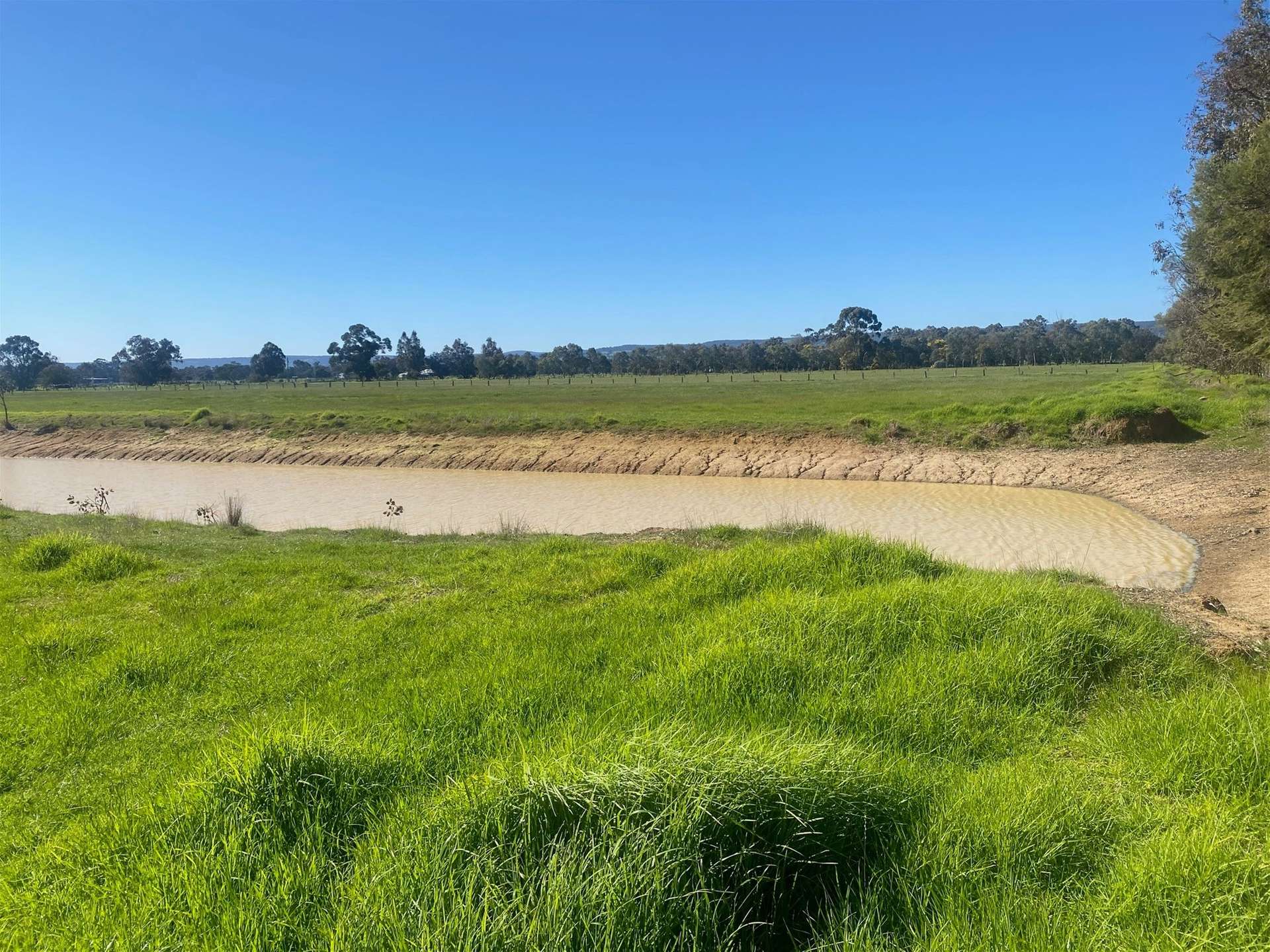 323 McLarty Road, Uduc For Sale by Farmbuy.com - image 7