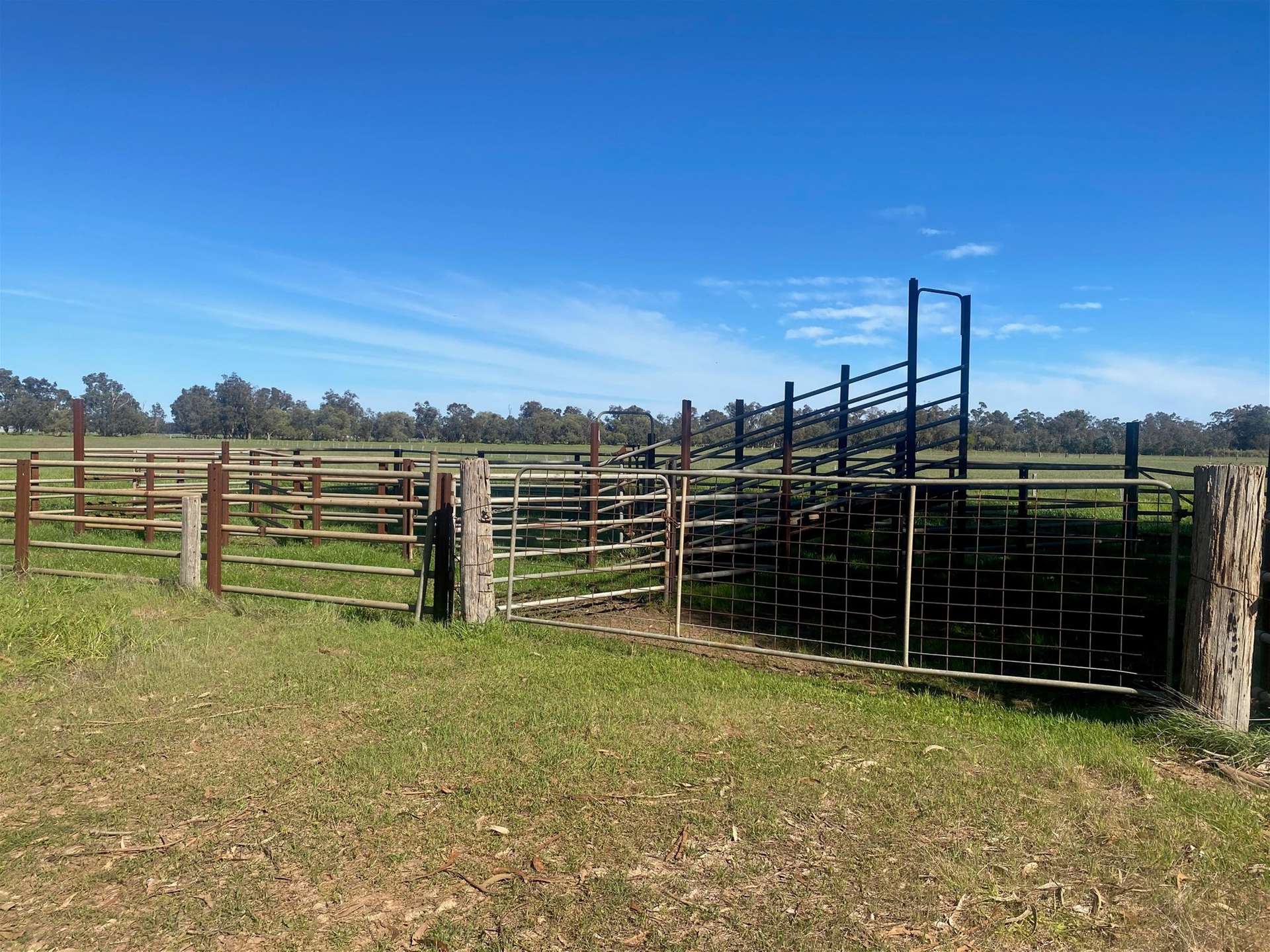 323 McLarty Road, Uduc For Sale by Farmbuy.com - image 4