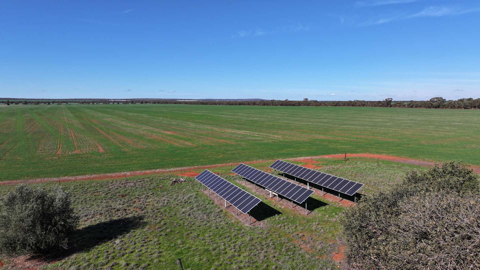 "Sunrise" Lot 22 Huxleys Road, Tabbita For Sale by Farmbuy.com - image 6