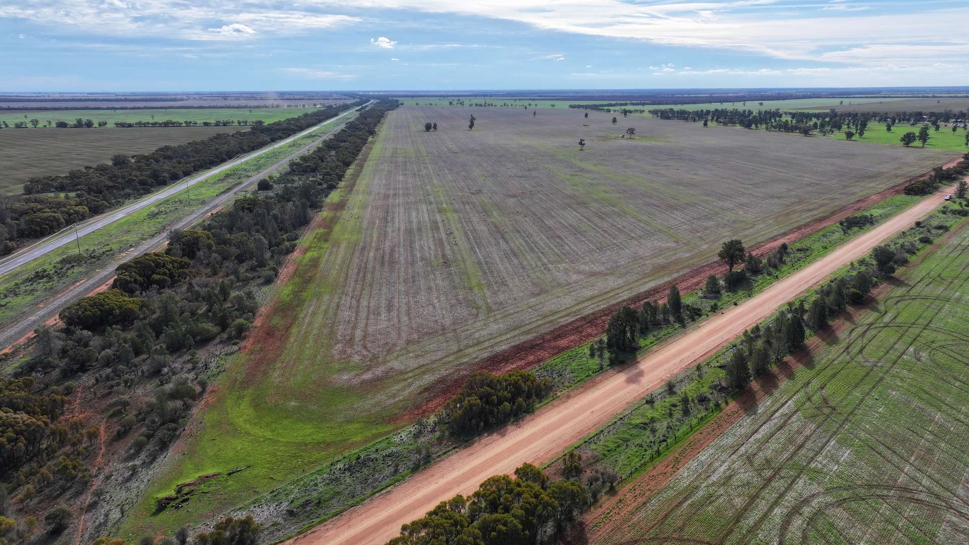 "Sunrise" Lot 22 Huxleys Road, Tabbita For Sale by Farmbuy.com - image 3