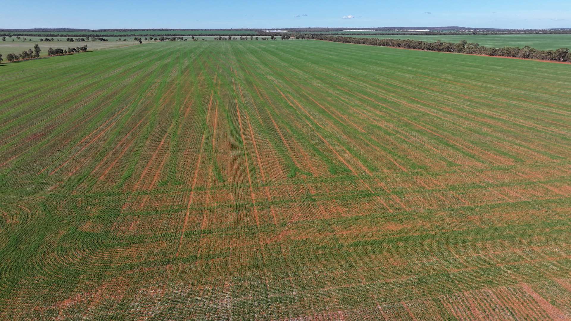 "Sunrise" Lot 22 Huxleys Road, Tabbita For Sale by Farmbuy.com - image 5