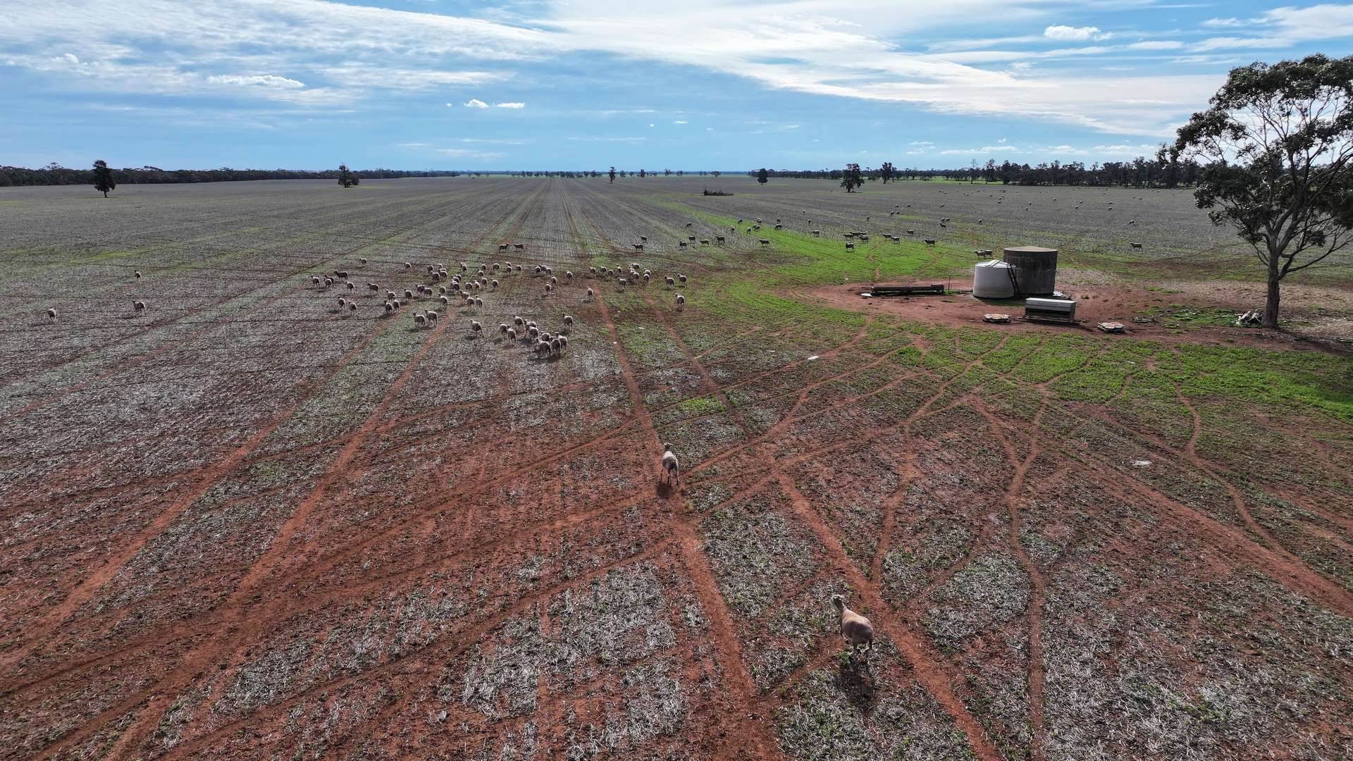 "Sunrise" Lot 22 Huxleys Road, Tabbita For Sale by Farmbuy.com - image 2