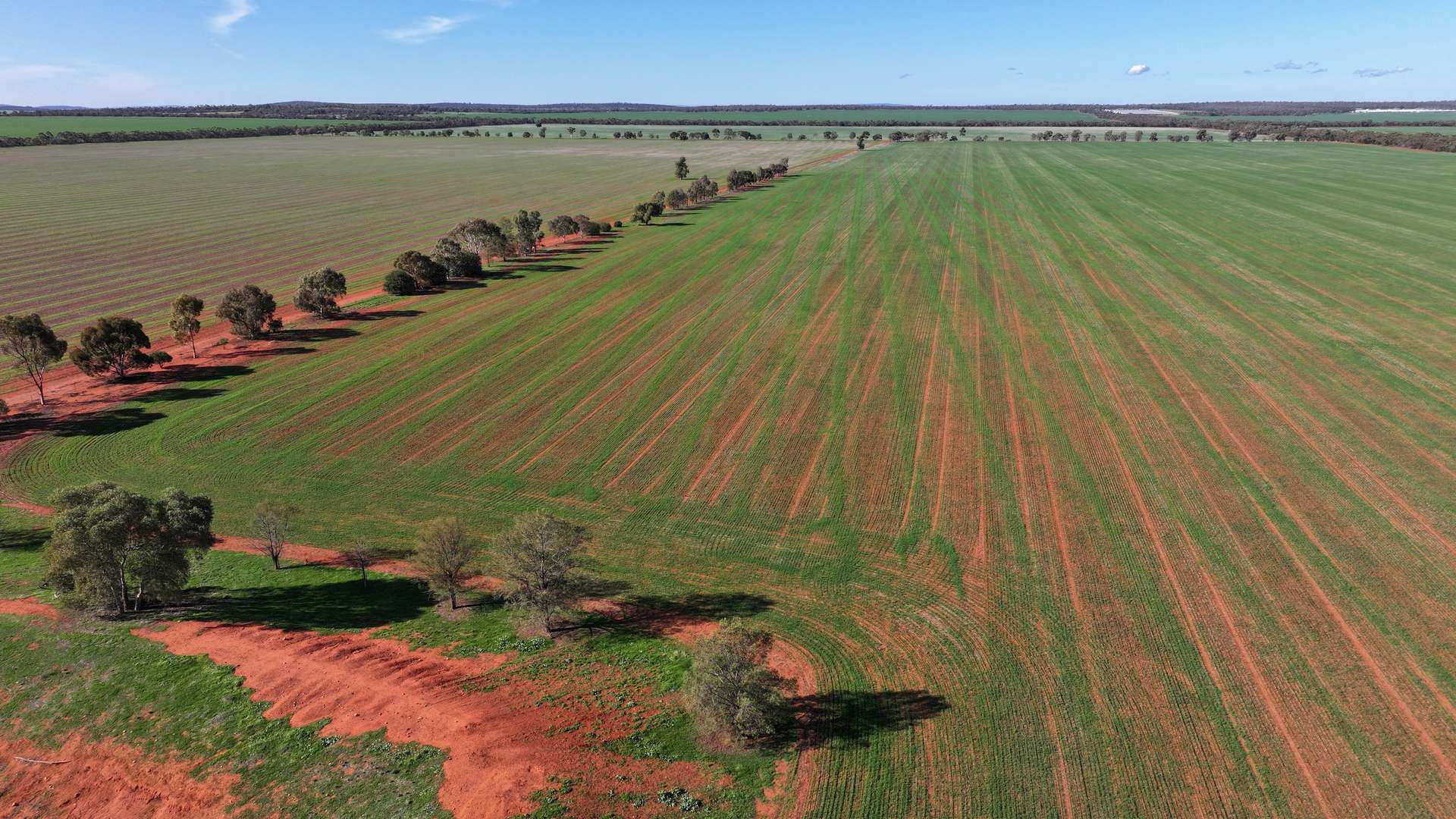 "Sunrise" Lot 22 Huxleys Road, Tabbita For Sale by Farmbuy.com - image 4