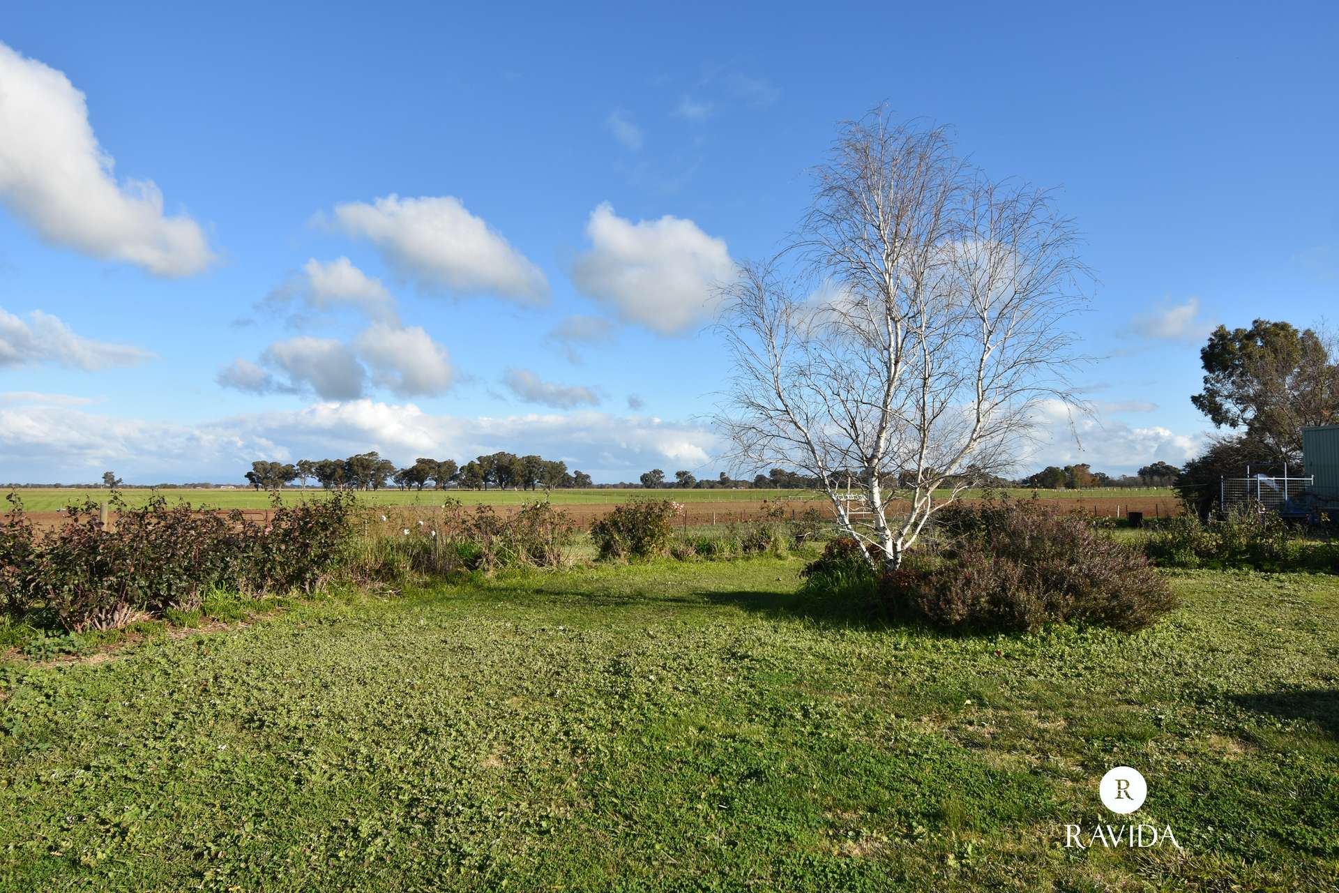 1194 Wangaratta-Eldorado Road, Londrigan For Sale by Farmbuy.com - image 14