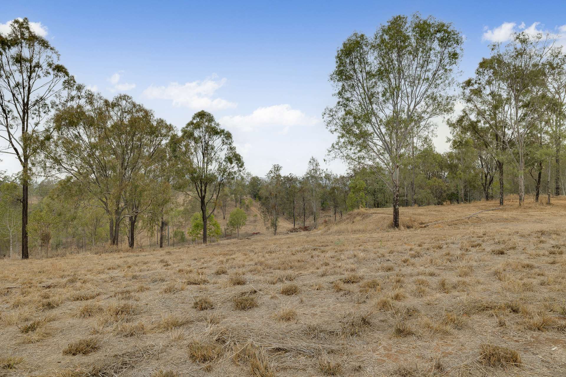 171 Six Mile Creek Road, Postmans Ridge For Sale by Farmbuy.com - image 8