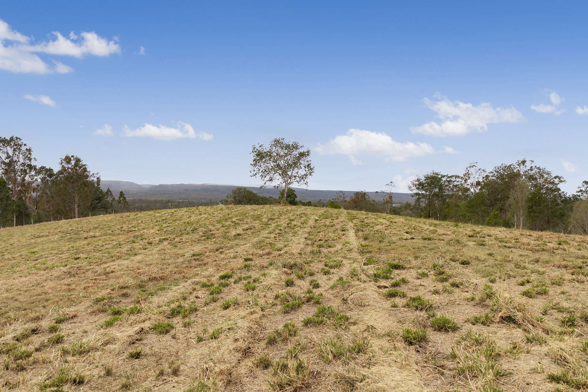 171 Six Mile Creek Road, Postmans Ridge For Sale by Farmbuy.com - image 5
